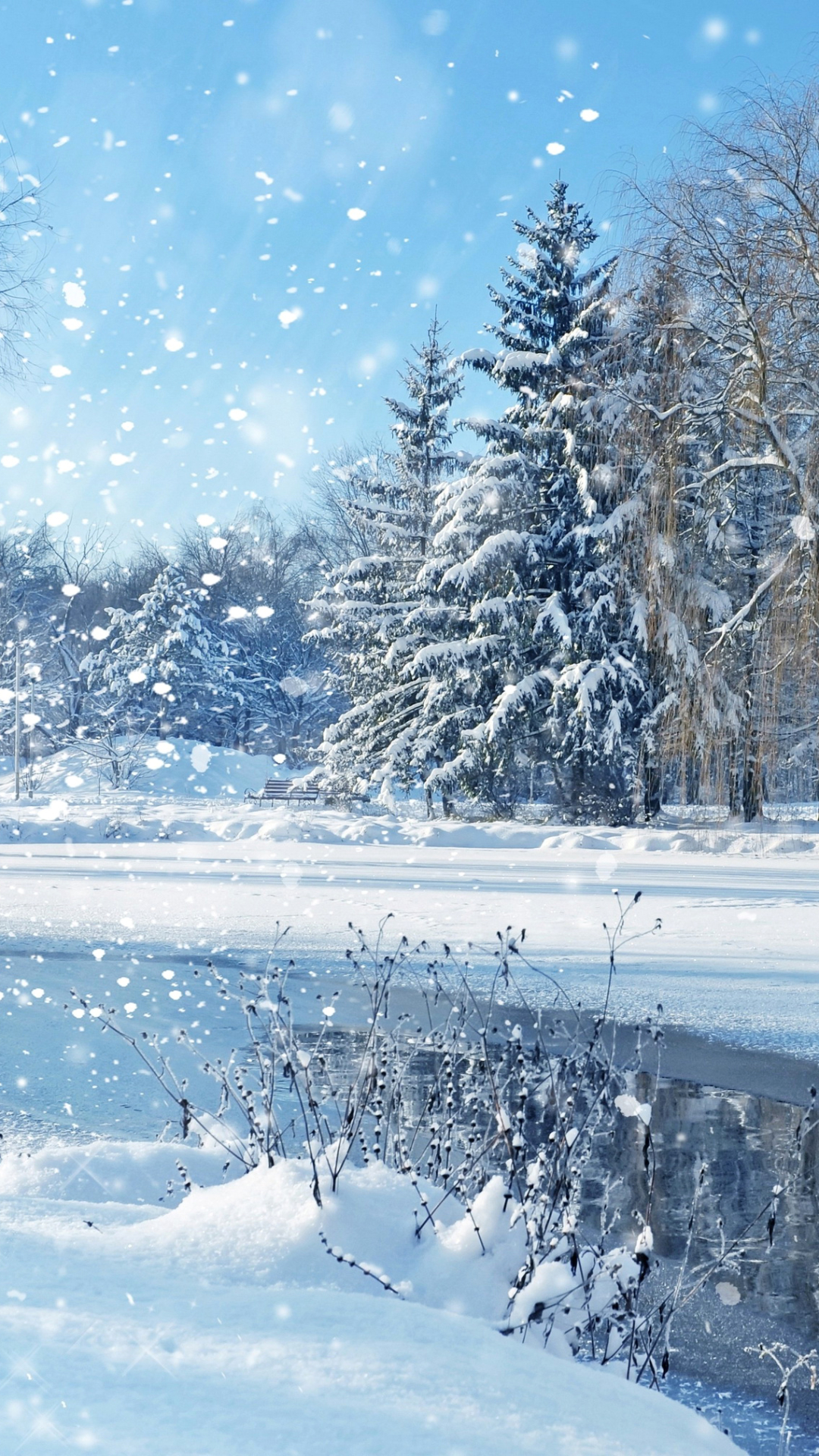 Скачать картинку Зима, Снег, Парк, Дерево, Снегопад, Земля/природа в телефон бесплатно.