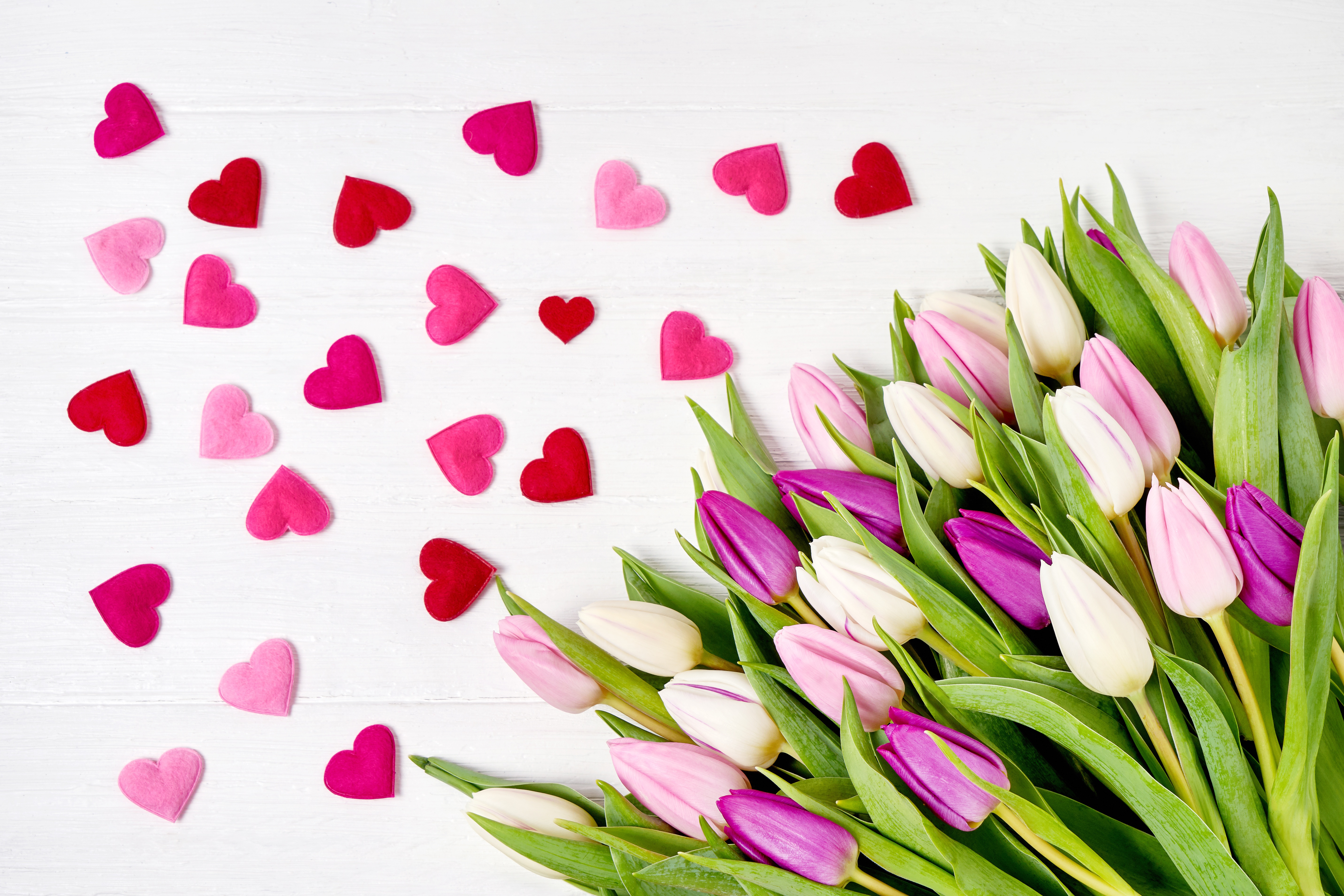 Завантажити шпалери безкоштовно Квітка, Кохання, Серце, Тюльпан, Фотографія, Фіолетова Квітка, Рожева Квітка картинка на робочий стіл ПК