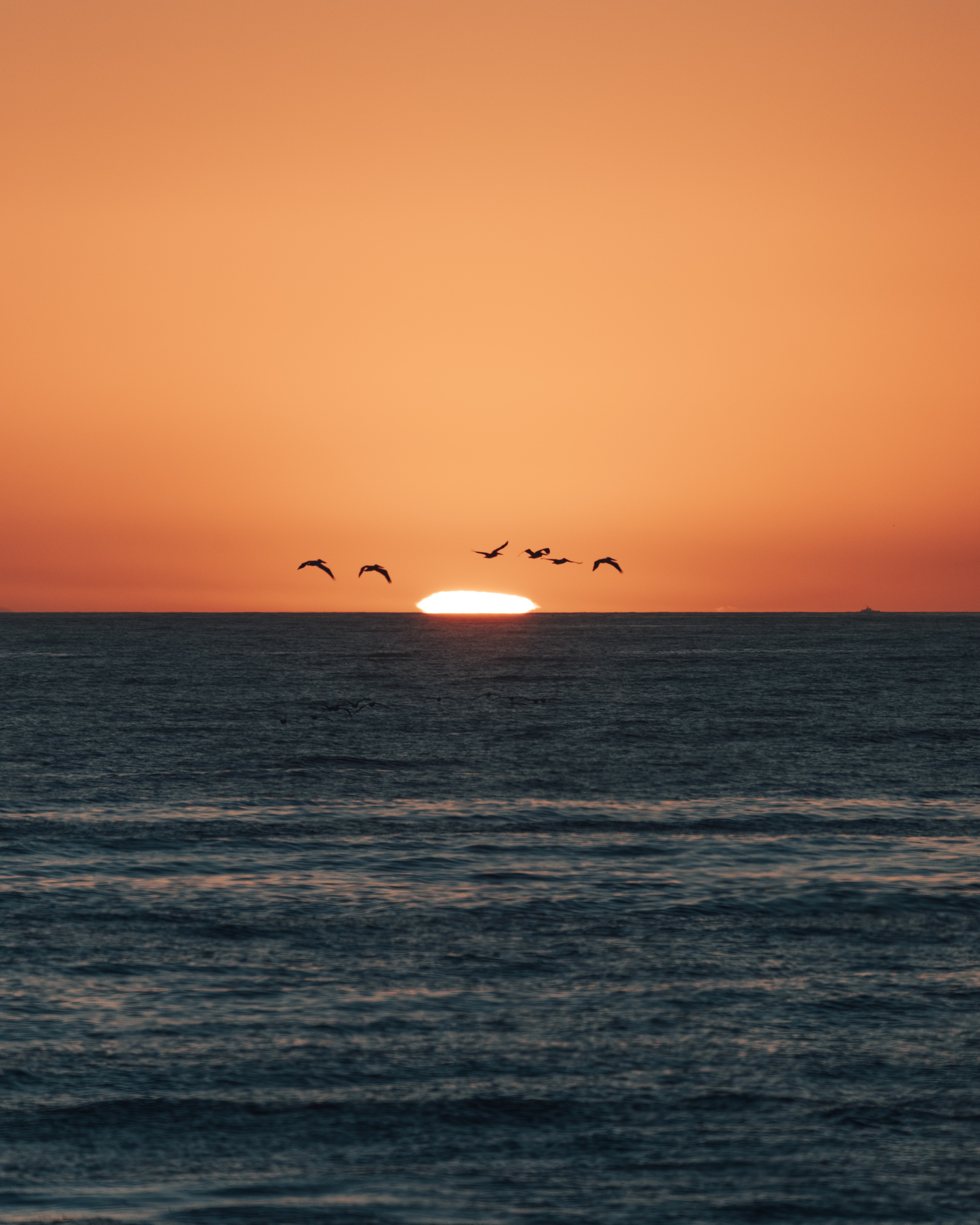 Download mobile wallpaper Dusk, Twilight, Nature, Sunset, Sea, Sun, Birds for free.