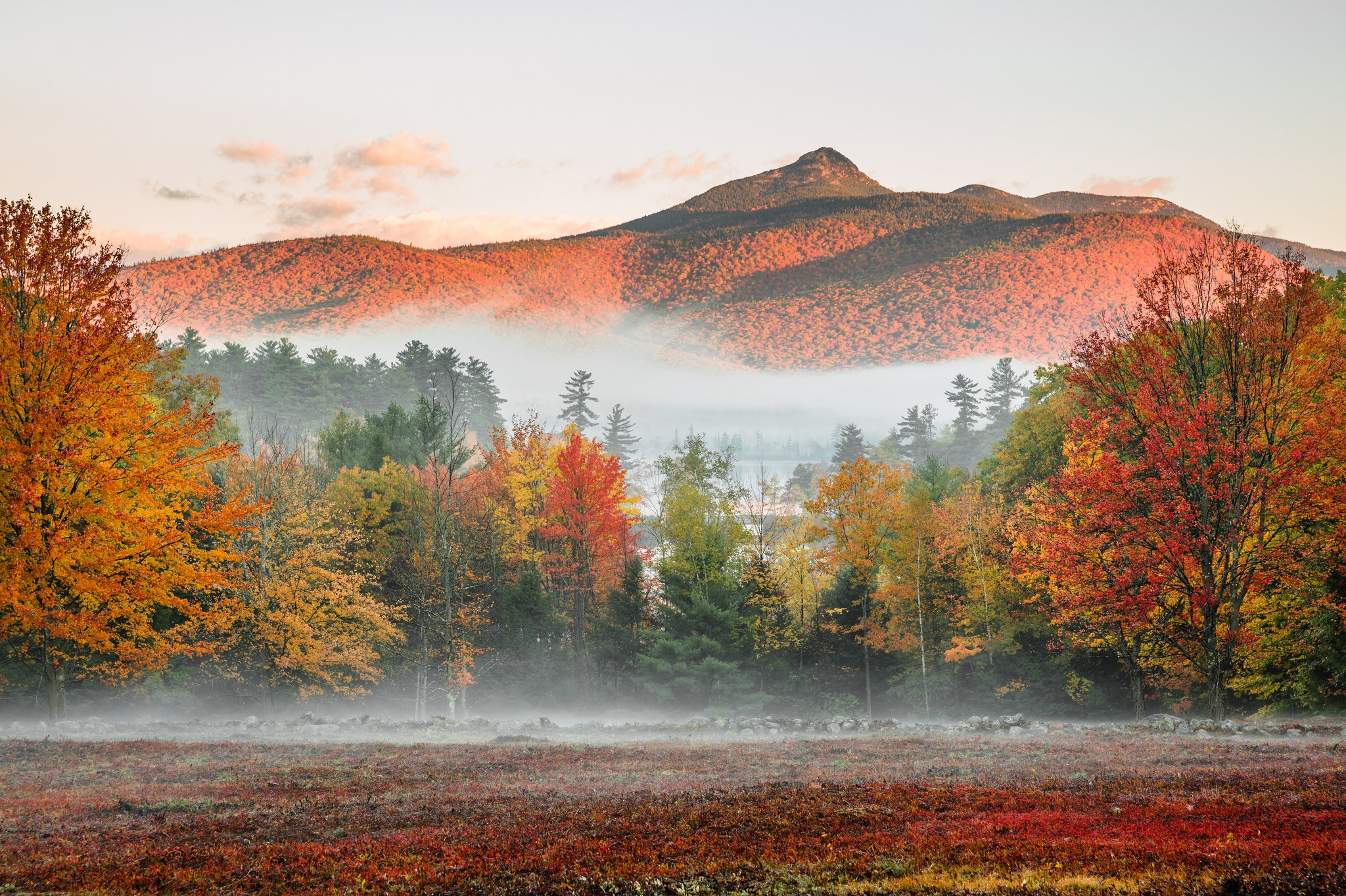 Laden Sie das Landschaft, Natur, Herbst, Baum, Nebel, Gebirge, Erde/natur-Bild kostenlos auf Ihren PC-Desktop herunter