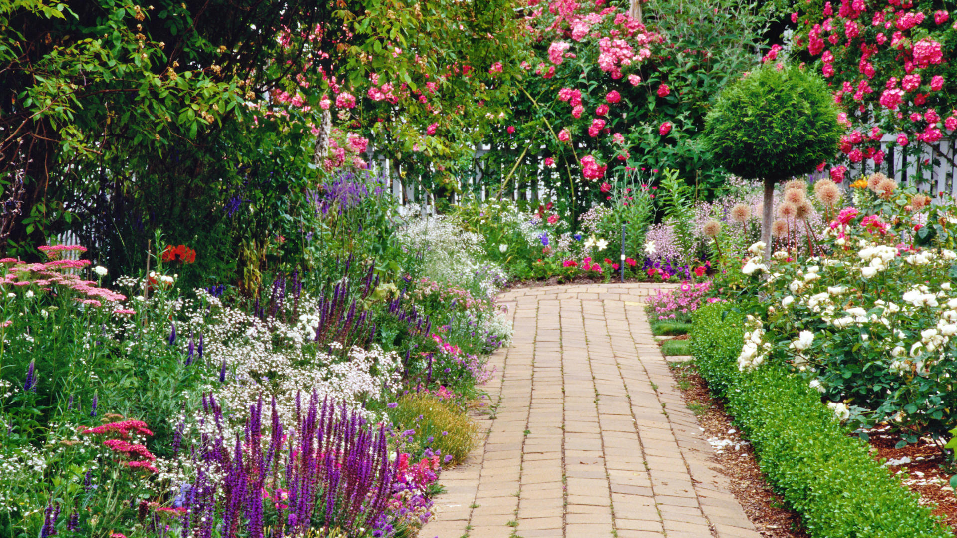 843768 завантажити картинку весна, створено людиною, сад, кущ, барвистий, квітка, шлях - шпалери і заставки безкоштовно