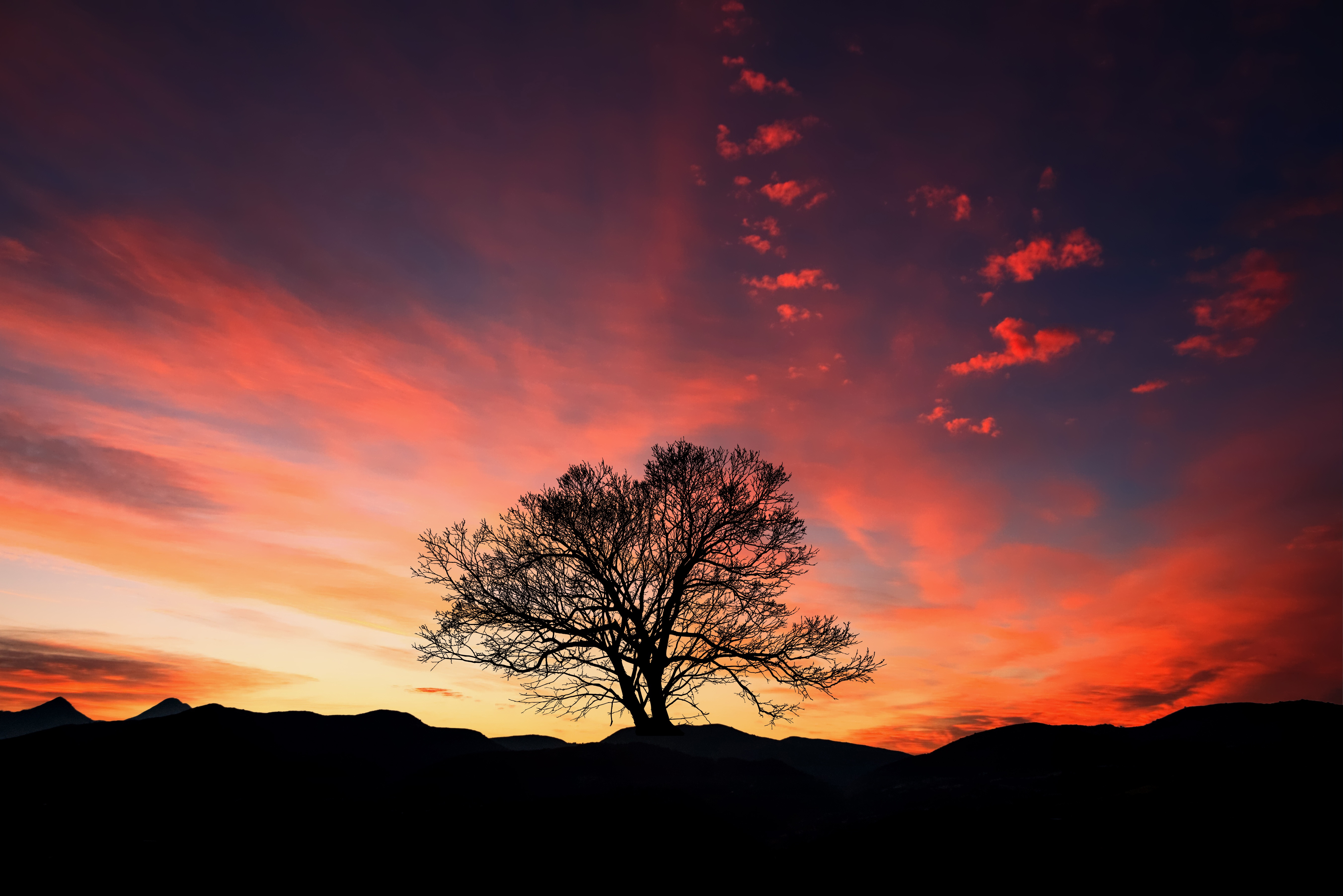 Laden Sie das Natur, Sunset, Clouds, Horizont, Holz, Baum, Sky-Bild kostenlos auf Ihren PC-Desktop herunter