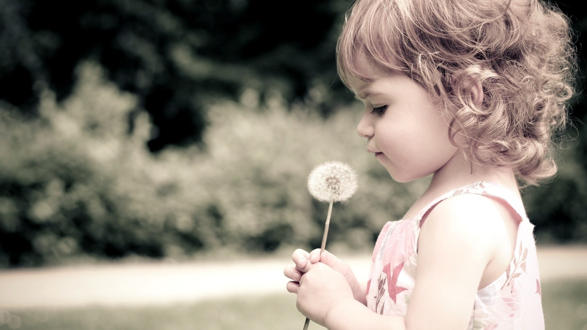 Descarga gratuita de fondo de pantalla para móvil de Niño, Cara, Diente De León, Fotografía, Niñita.