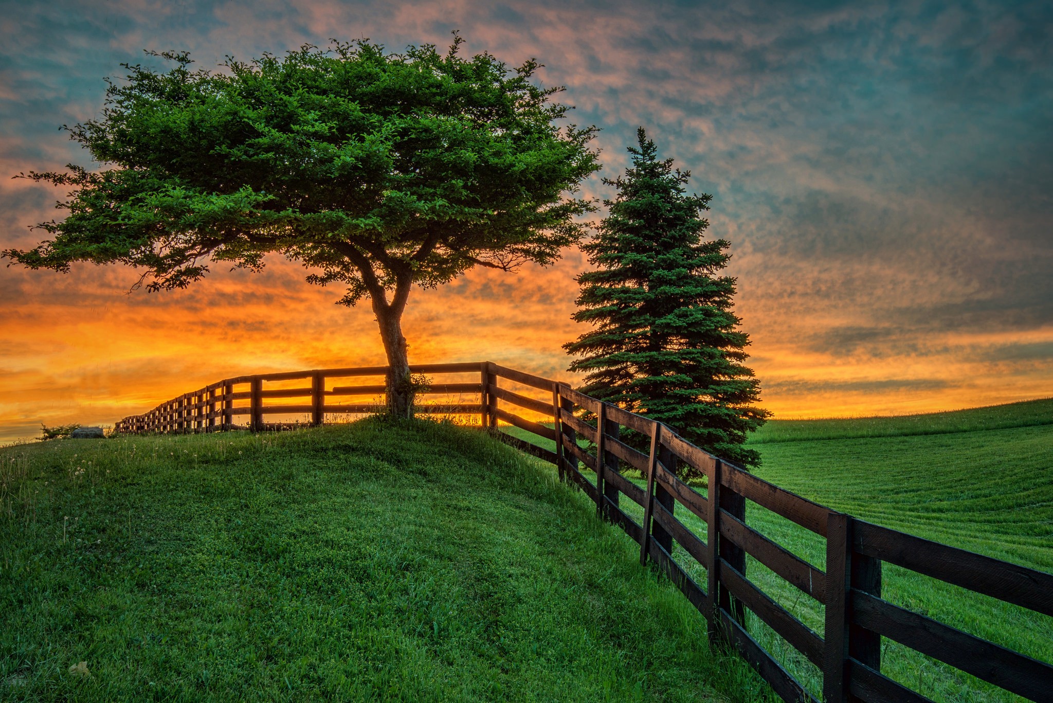 Download mobile wallpaper Sunset, Grass, Pine, Tree, Earth, Field, Fence for free.