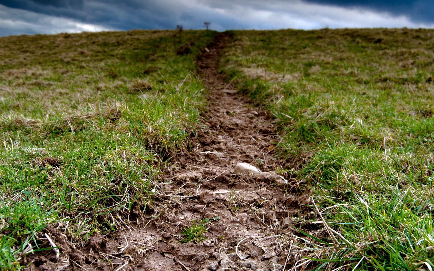 nature, grass, land, earth, mainly cloudy, overcast, mud, dirt