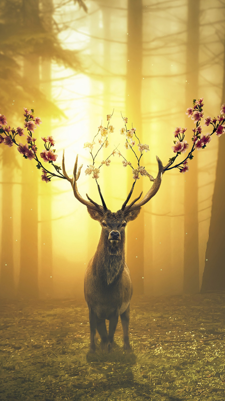 無料モバイル壁紙ファンタジー, 鹿, 森, 春, ファンタジー動物をダウンロードします。