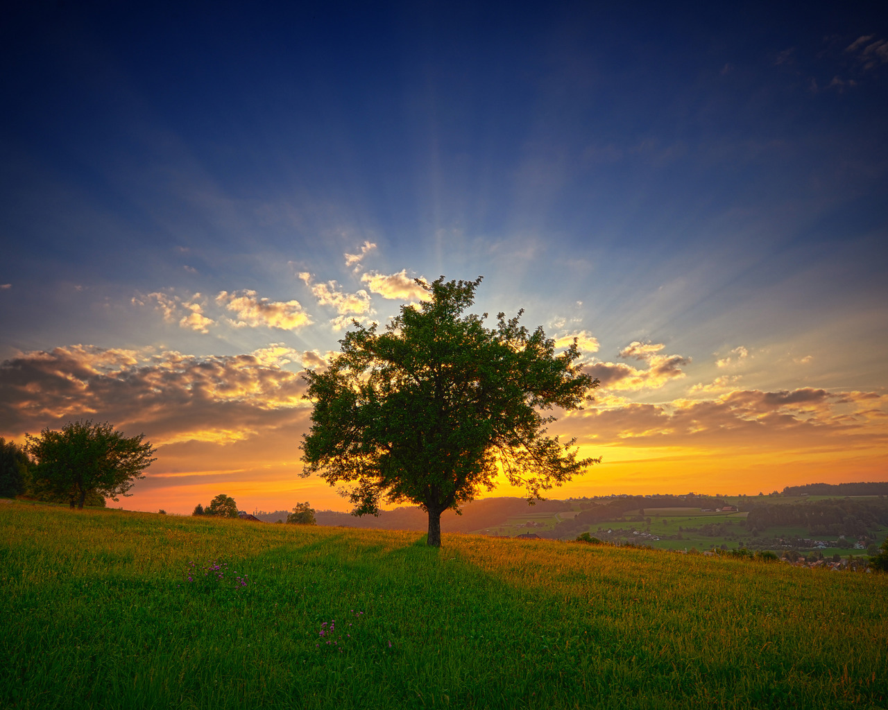 Download mobile wallpaper Sunset, Trees, Sky, Landscape for free.