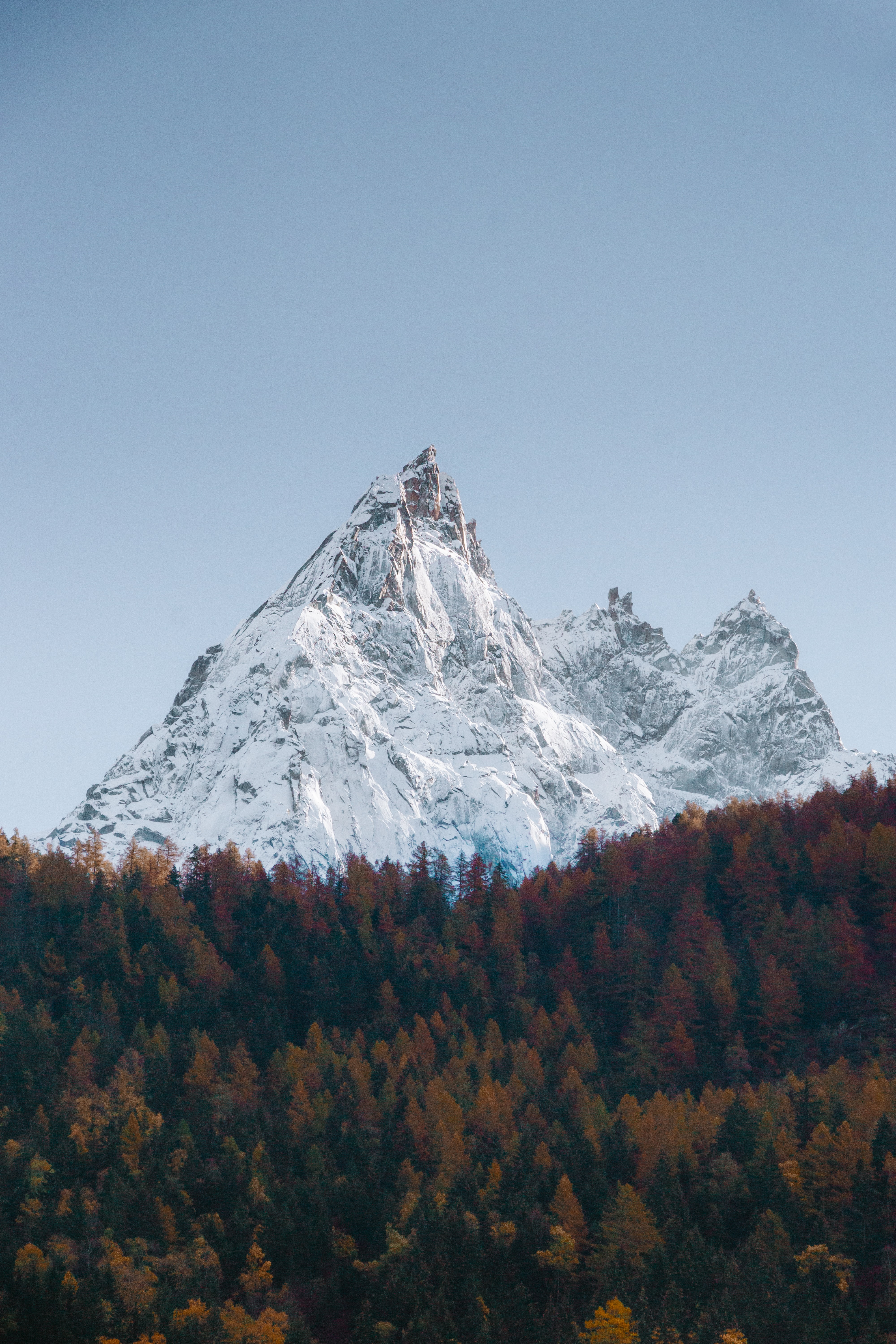 Скачать картинку Вершина, Гора, Снег, Лес, Пейзаж, Природа в телефон бесплатно.