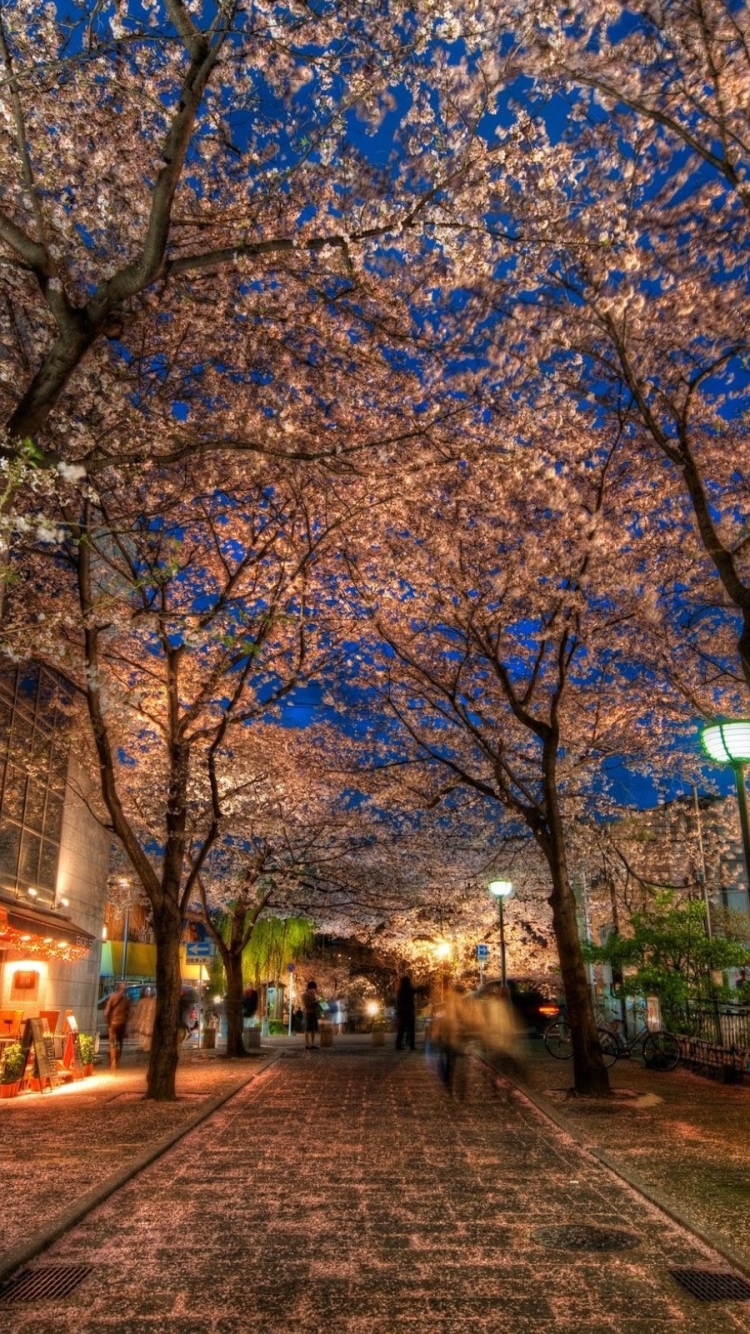 Descarga gratuita de fondo de pantalla para móvil de Ciudades, Japón, Calle, Kioto, Hecho Por El Hombre.