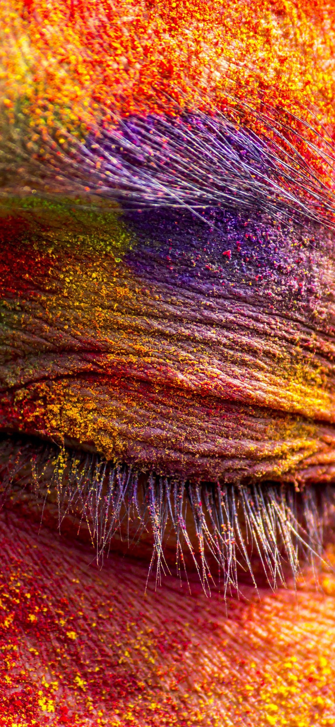 Download mobile wallpaper Macro, Holiday, Colors, Colorful, Eye, Holi for free.