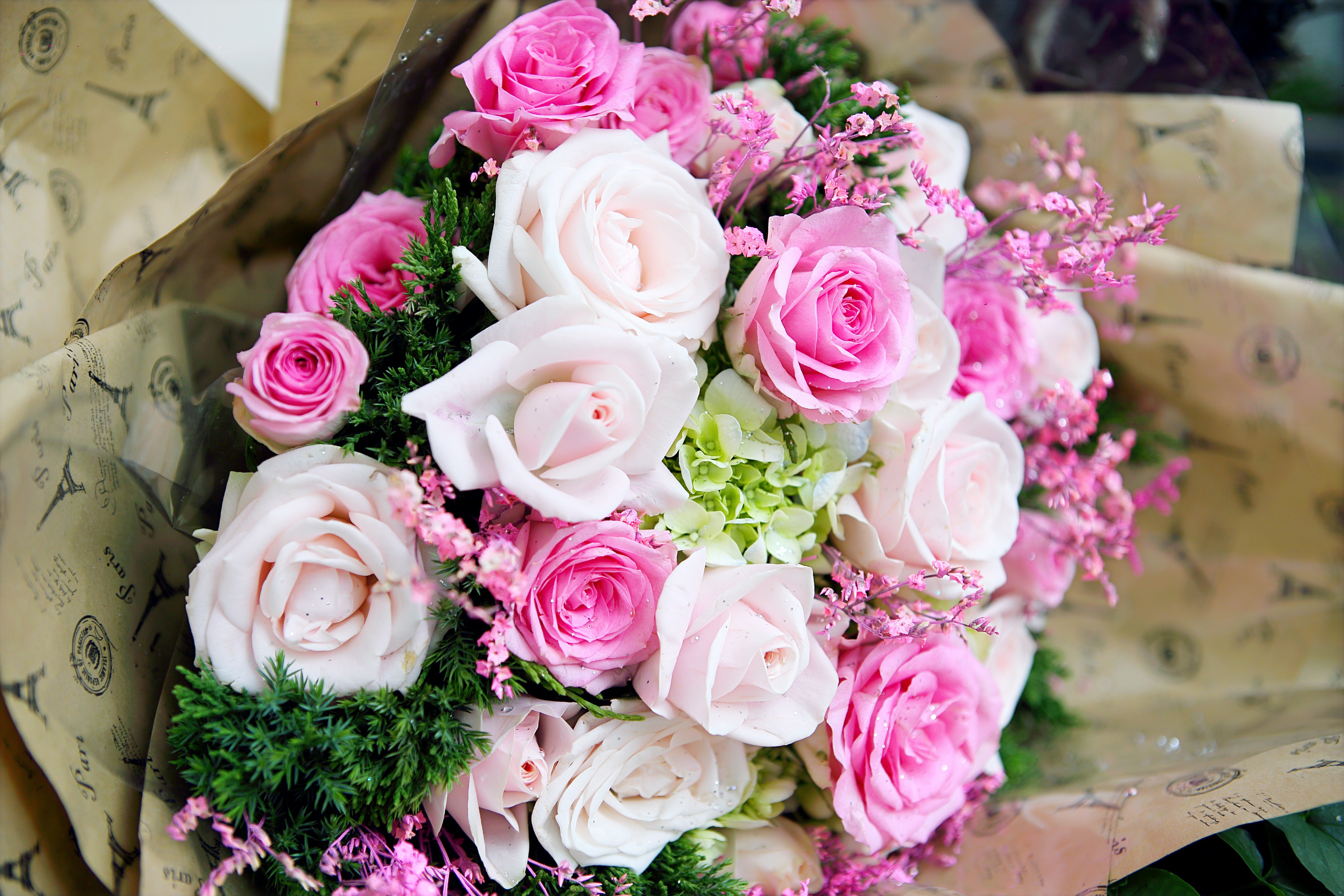 Handy-Wallpaper Blume, Rose, Strauß, Weiße Blume, Menschengemacht, Pinke Blume kostenlos herunterladen.