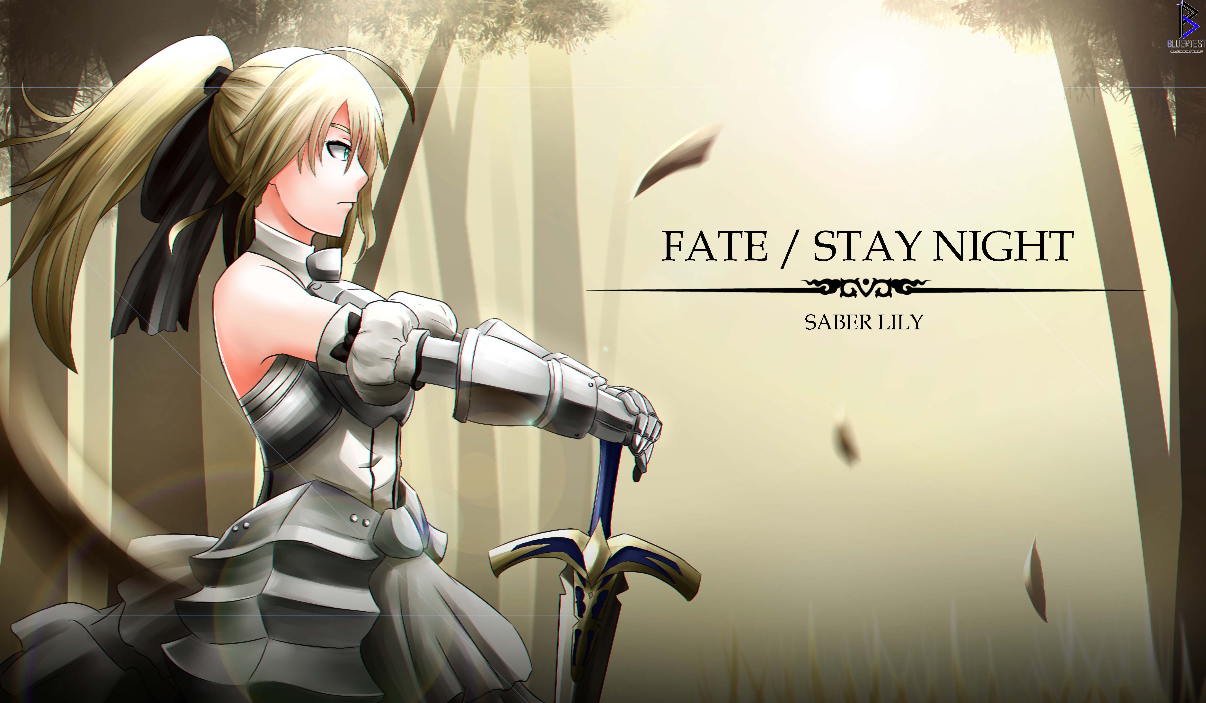 anime, fate/unlimited codes, saber (fate series), fate series