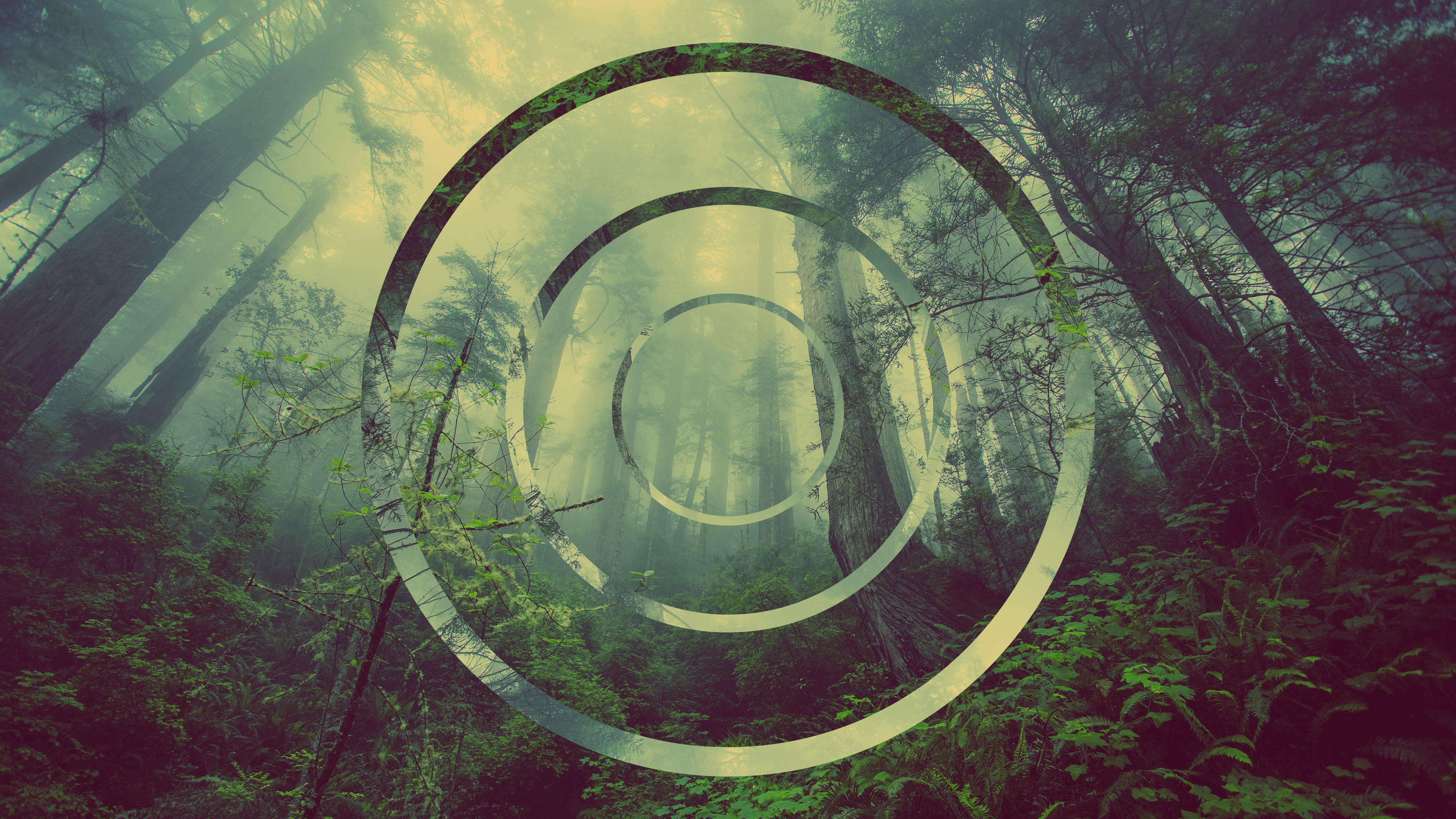 Download mobile wallpaper Forest, Circle, Artistic, Polyscape for free.