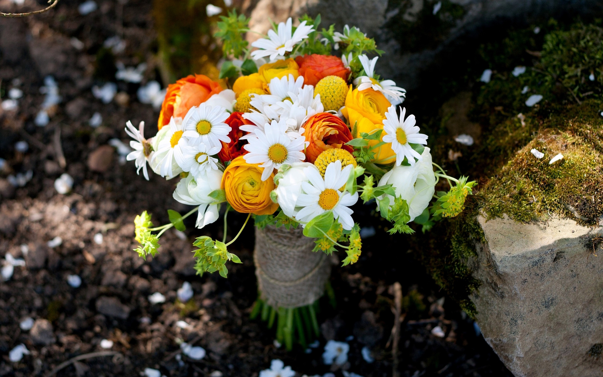 Descarga gratis la imagen Flores, Flor, Tierra/naturaleza en el escritorio de tu PC