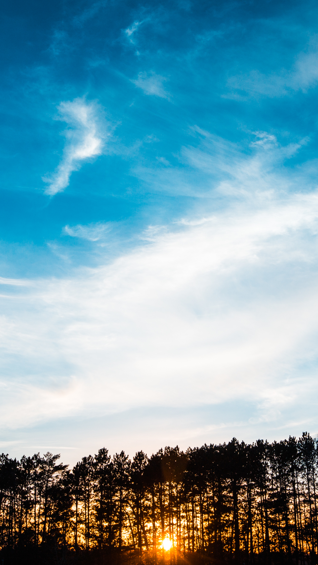 Download mobile wallpaper Nature, Sky, Tree, Sunrise, Earth, Cloud for free.