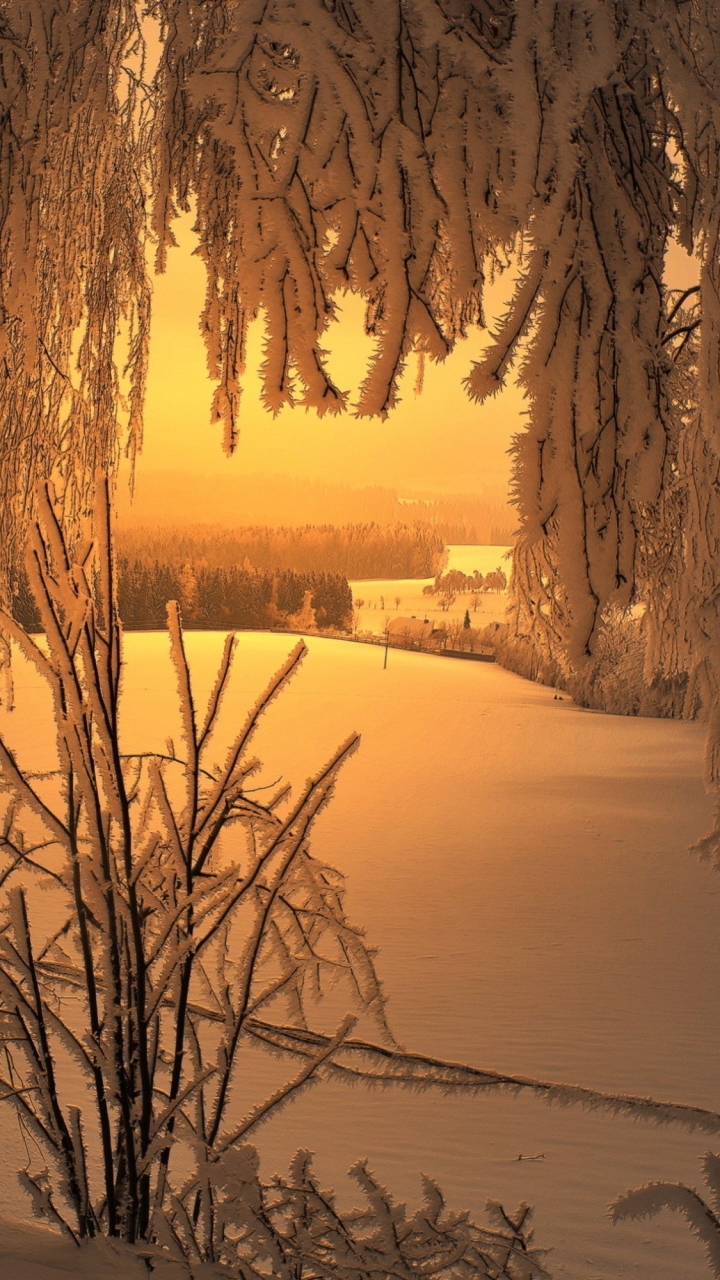 Descarga gratuita de fondo de pantalla para móvil de Invierno, Nieve, Árbol, Atardecer, Tierra/naturaleza, Puesta De Sol.