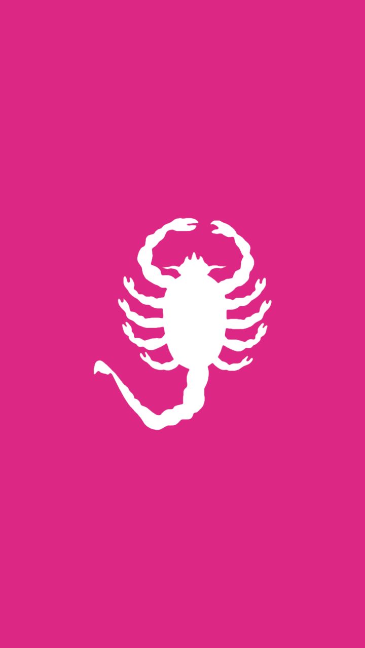 Download mobile wallpaper Scorpion, Animal for free.
