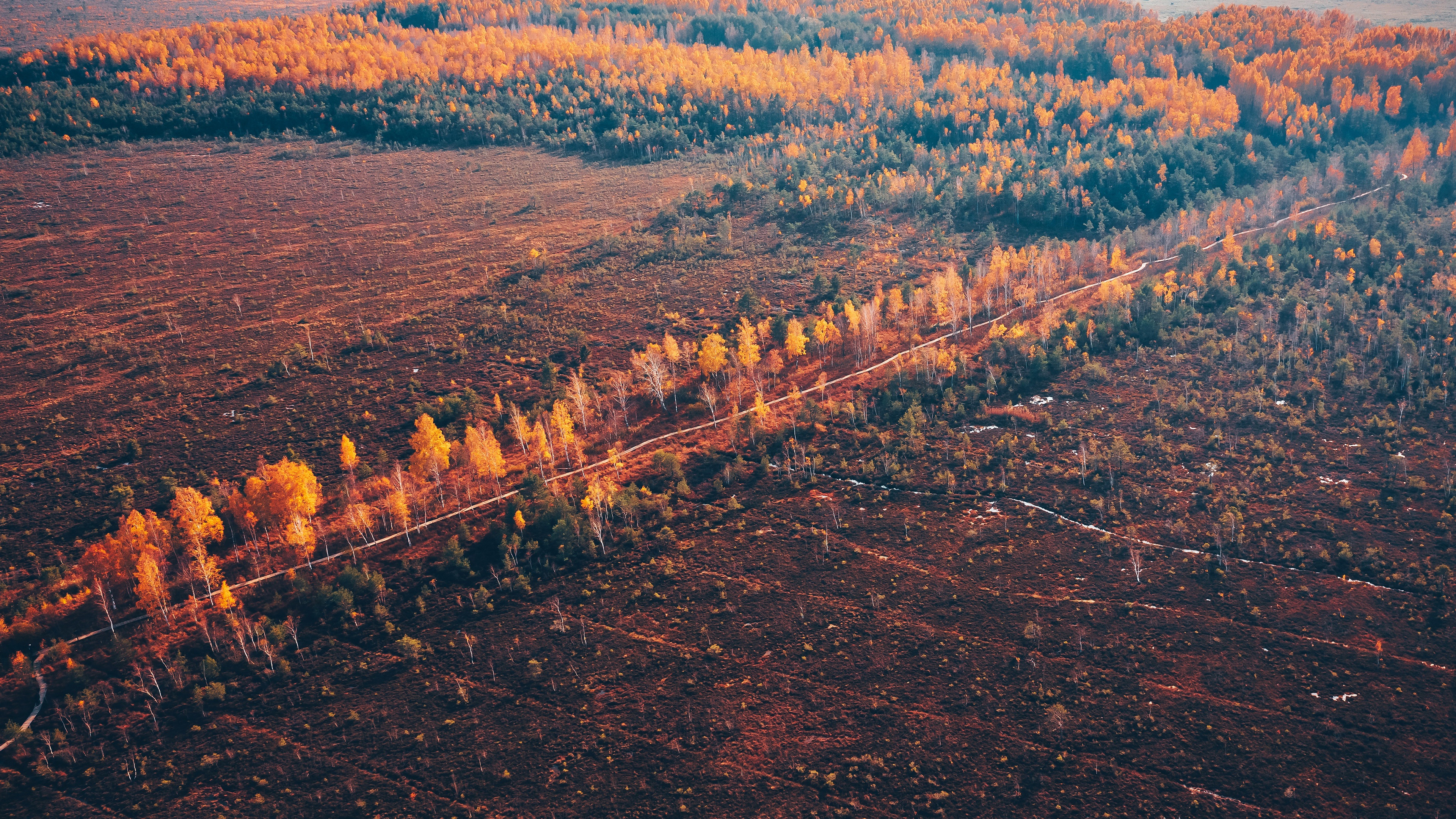Download mobile wallpaper Nature, Fall, Field, Photography, Aerial for free.