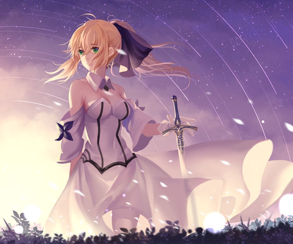 Download mobile wallpaper Anime, Saber (Fate Series), Saber Lily, Fate/grand Order, Fate Series for free.