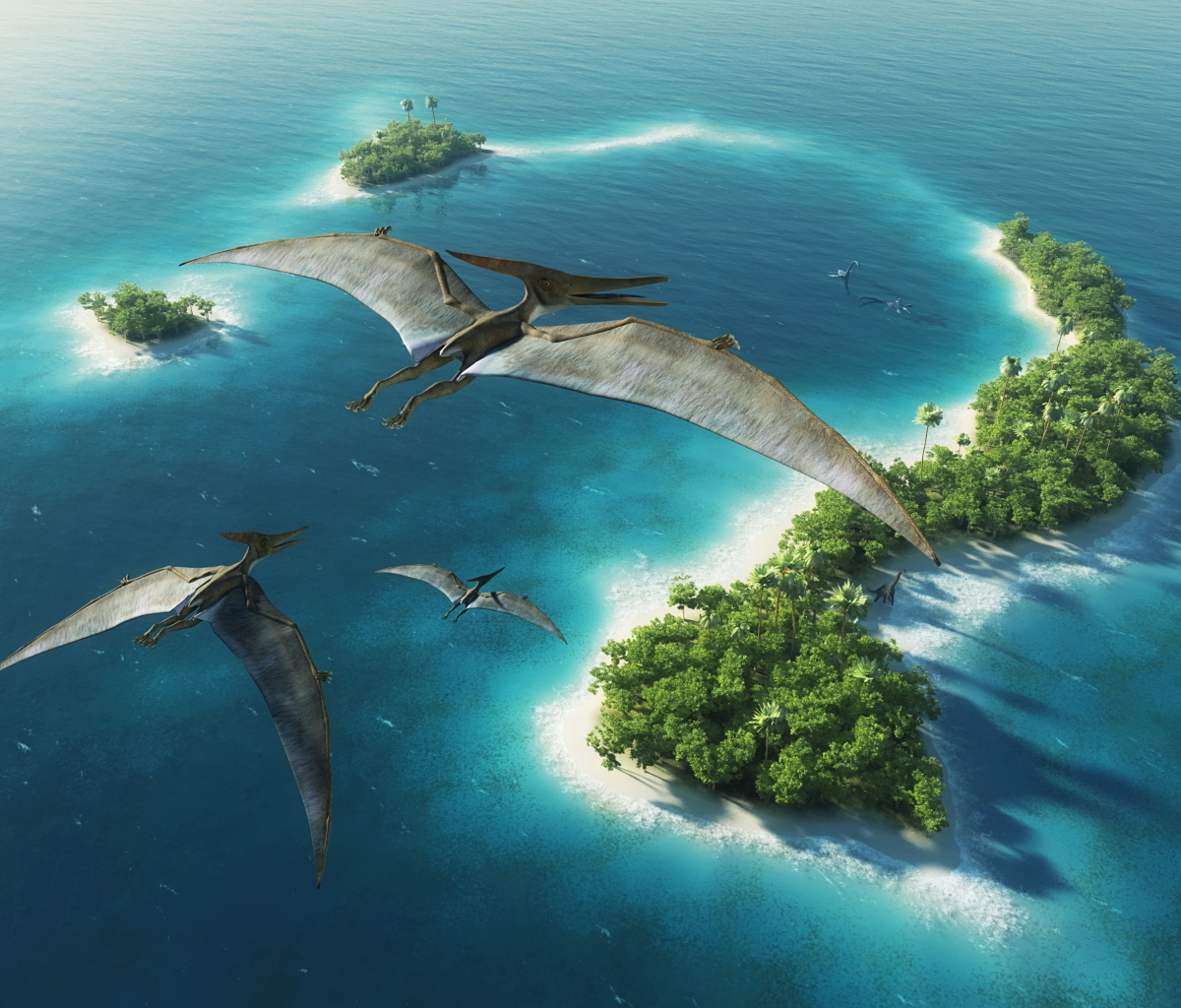 無料モバイル壁紙動物, 水, 海, 恐竜, 小島, プテラノドンをダウンロードします。