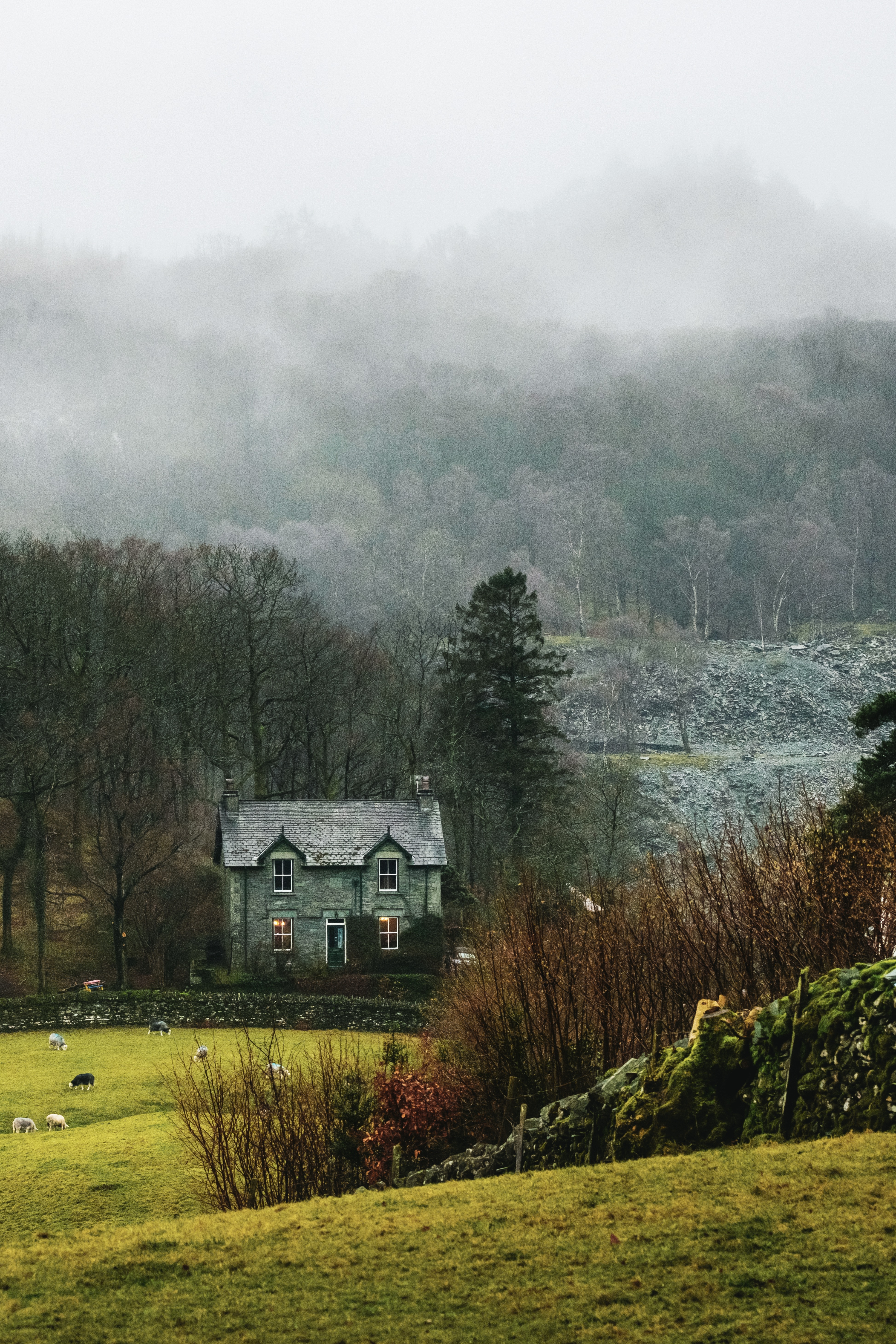 Laden Sie das Nebel, Haus, Dorf, Natur, Grass, Landschaft-Bild kostenlos auf Ihren PC-Desktop herunter