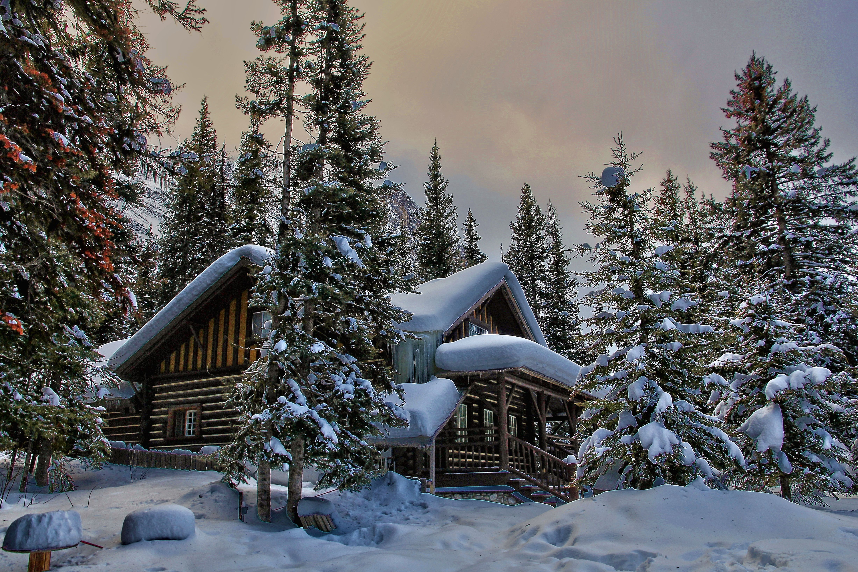 Laden Sie das Winter, Schnee, Wald, Baum, Haus, Hütte, Menschengemacht-Bild kostenlos auf Ihren PC-Desktop herunter