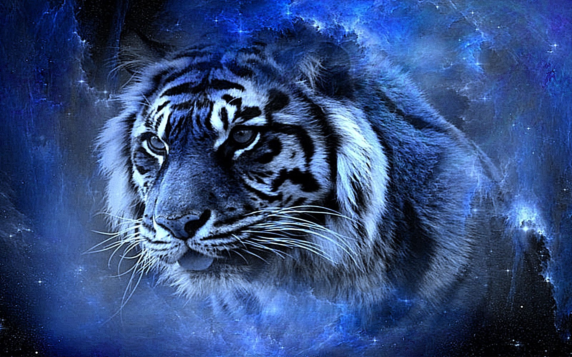 無料モバイル壁紙動物, 猫, 青い, 閉じる, 虎, 顔をダウンロードします。
