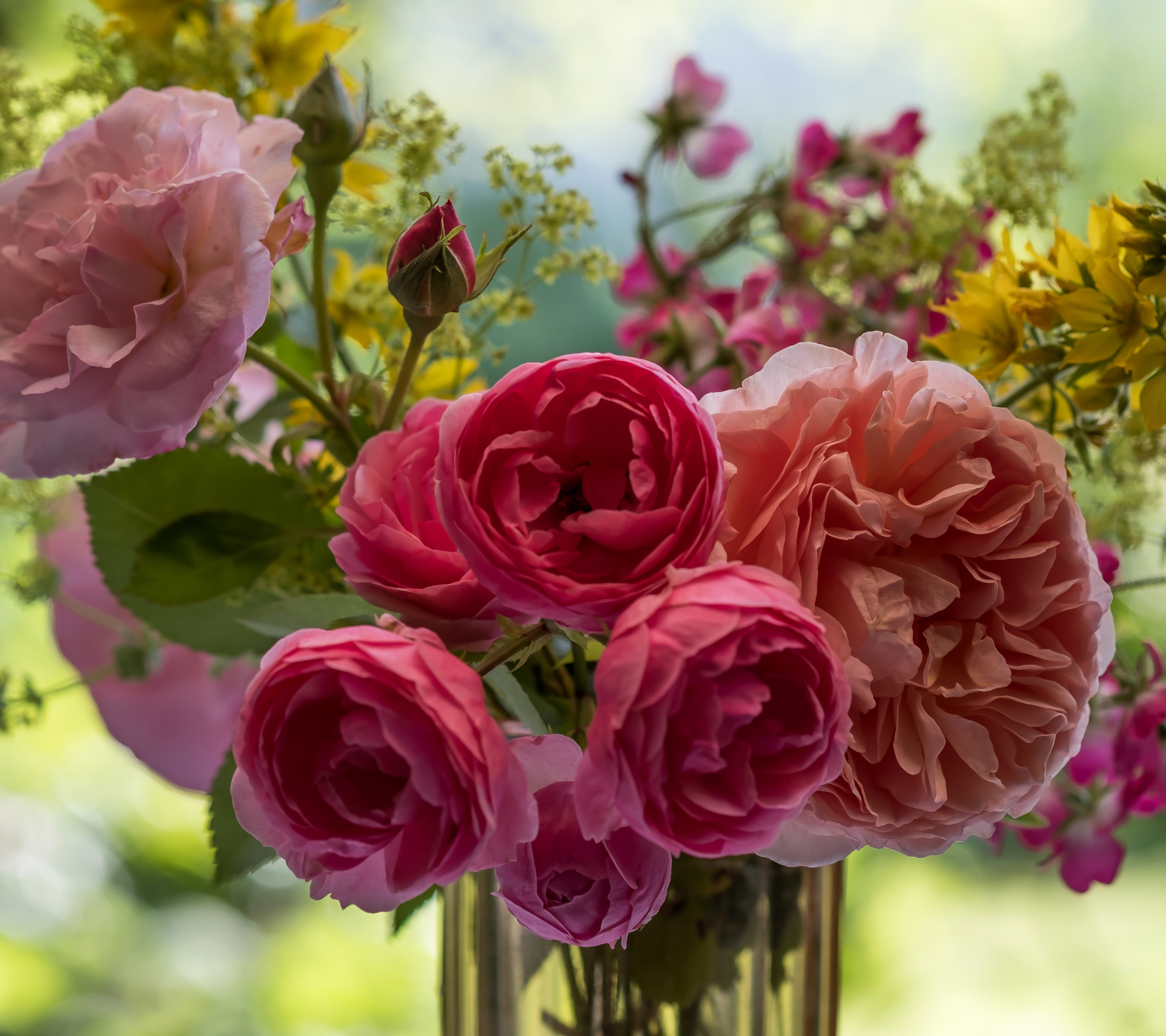 Скачать обои бесплатно Цветок, Роза, Ваза, Земля/природа, Розовый Цветок, Флауэрсы картинка на рабочий стол ПК