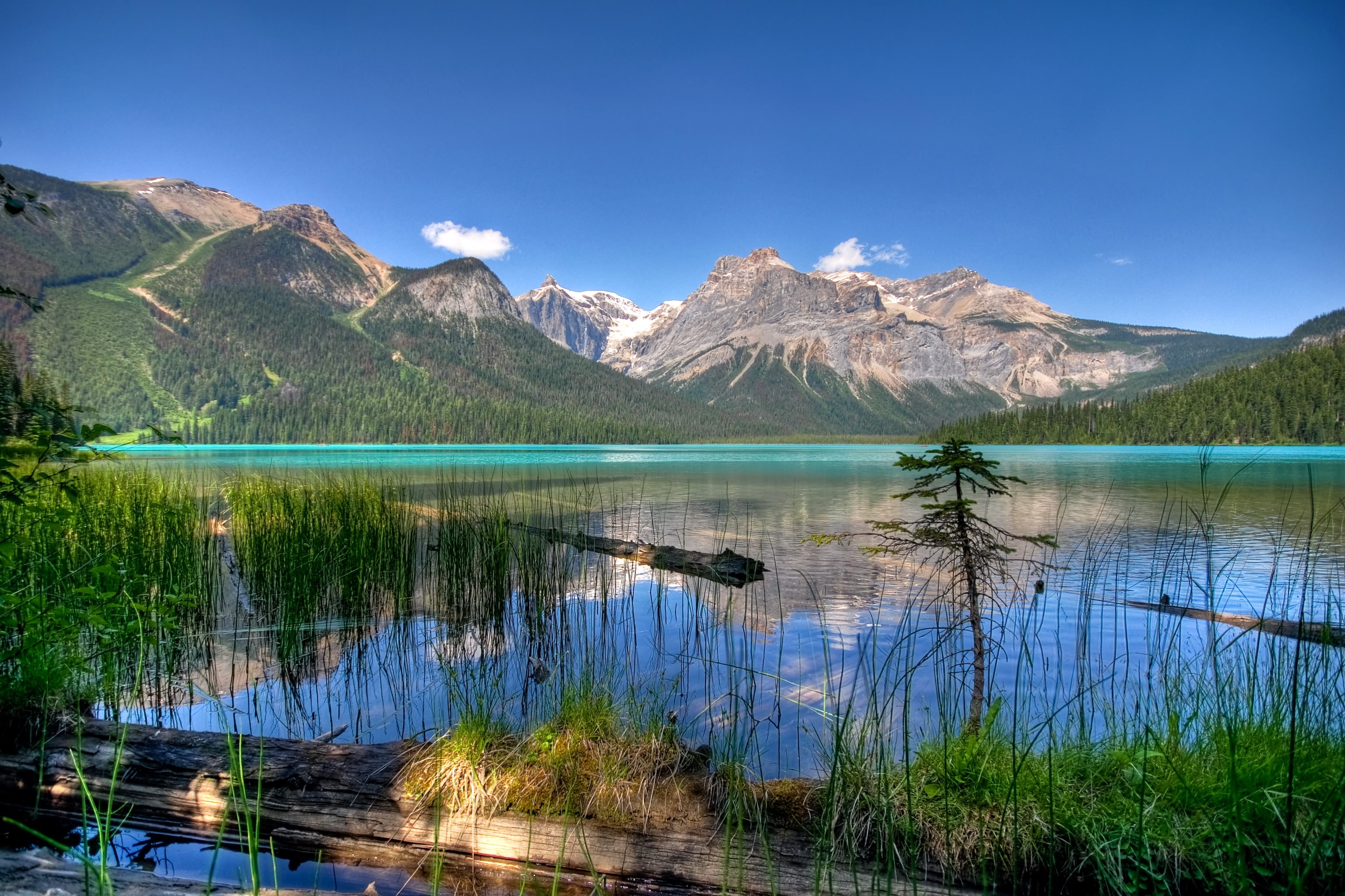 356552 descargar fondo de pantalla tierra/naturaleza, lago, columbia británica, canadá, lagos: protectores de pantalla e imágenes gratis