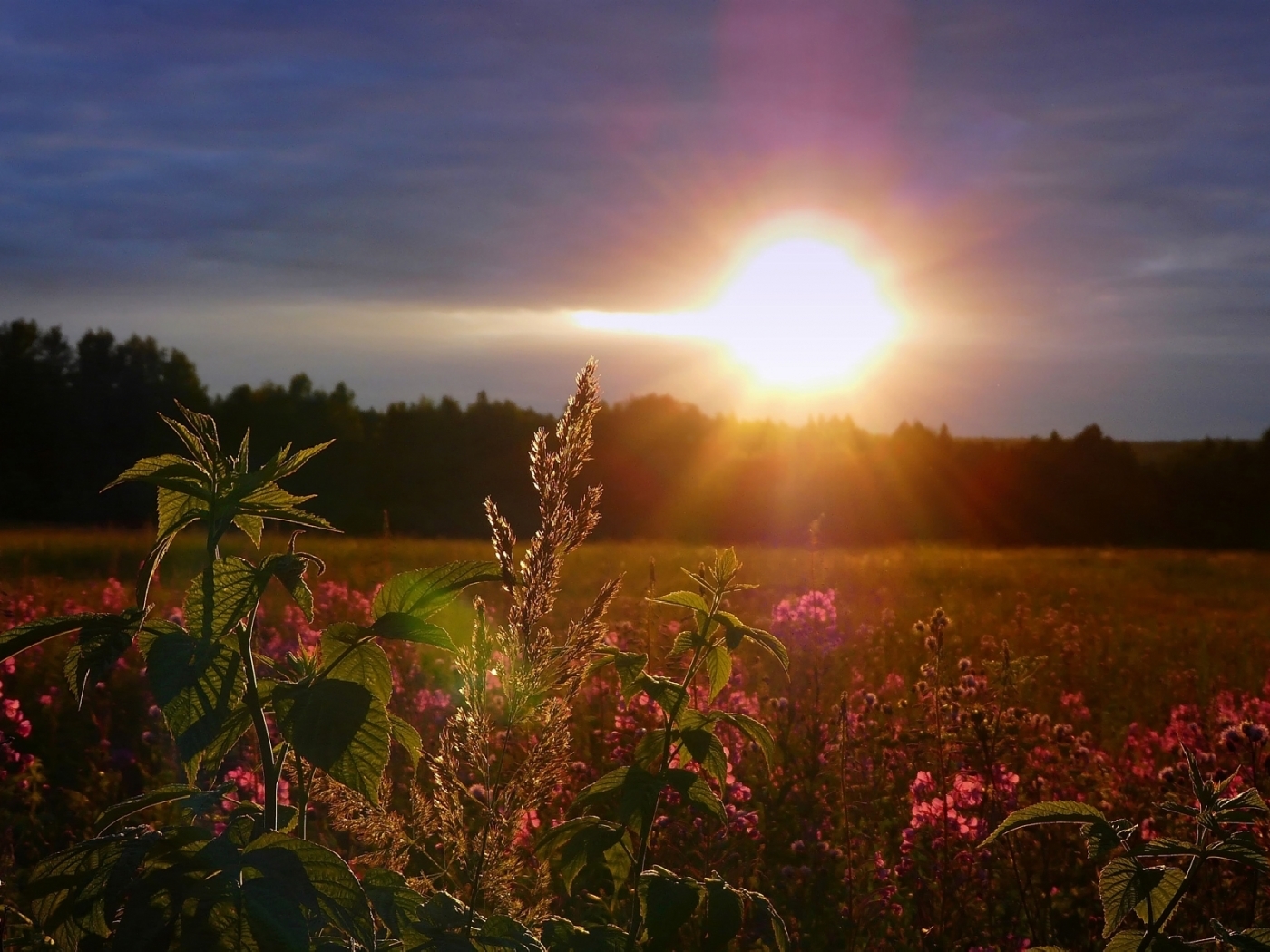 Laden Sie das Sun, Landschaft, Sunset, Felder-Bild kostenlos auf Ihren PC-Desktop herunter