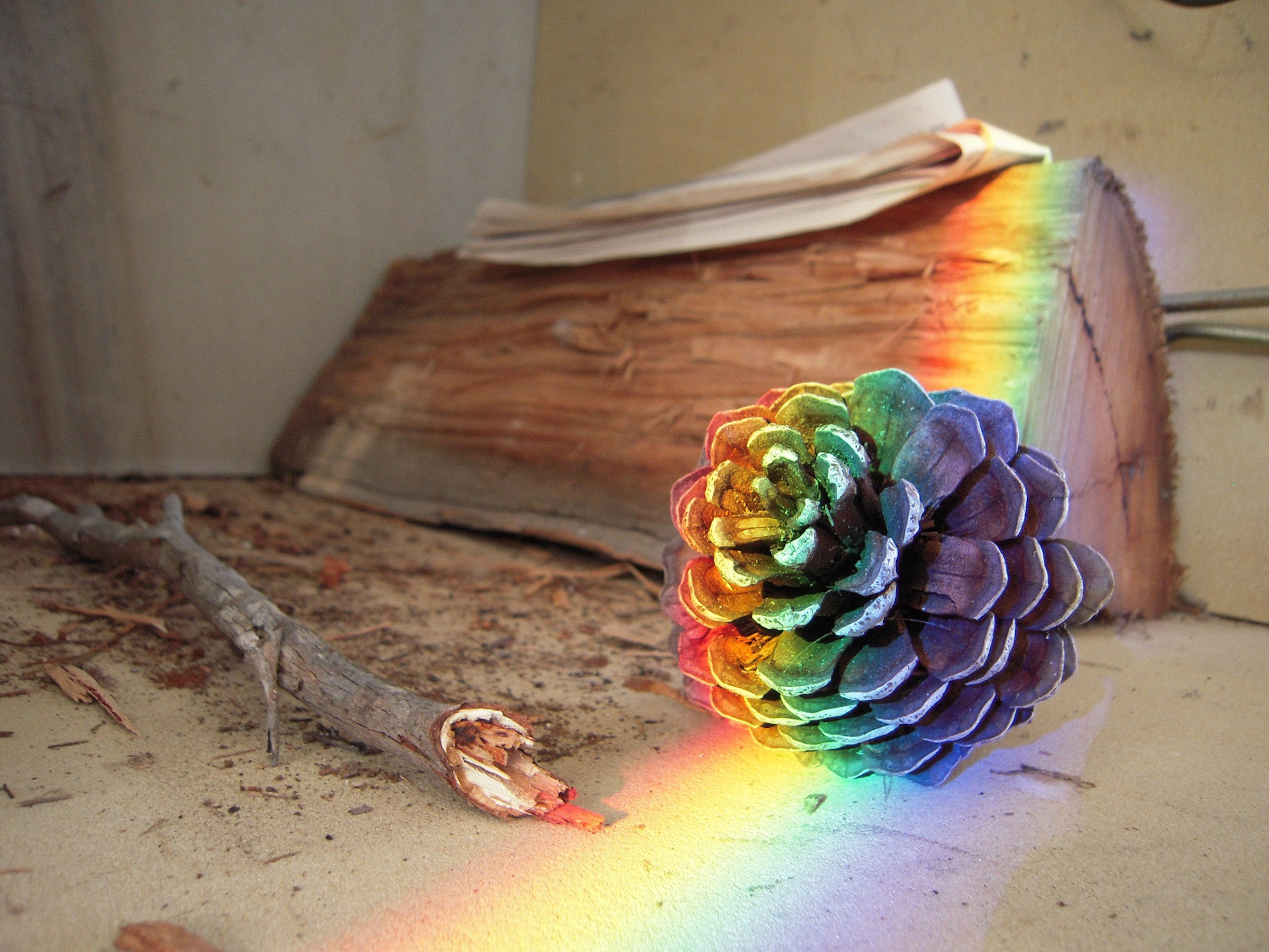 Free download wallpaper Rainbow, Wood, Colors, Photography, Pine Cone on your PC desktop