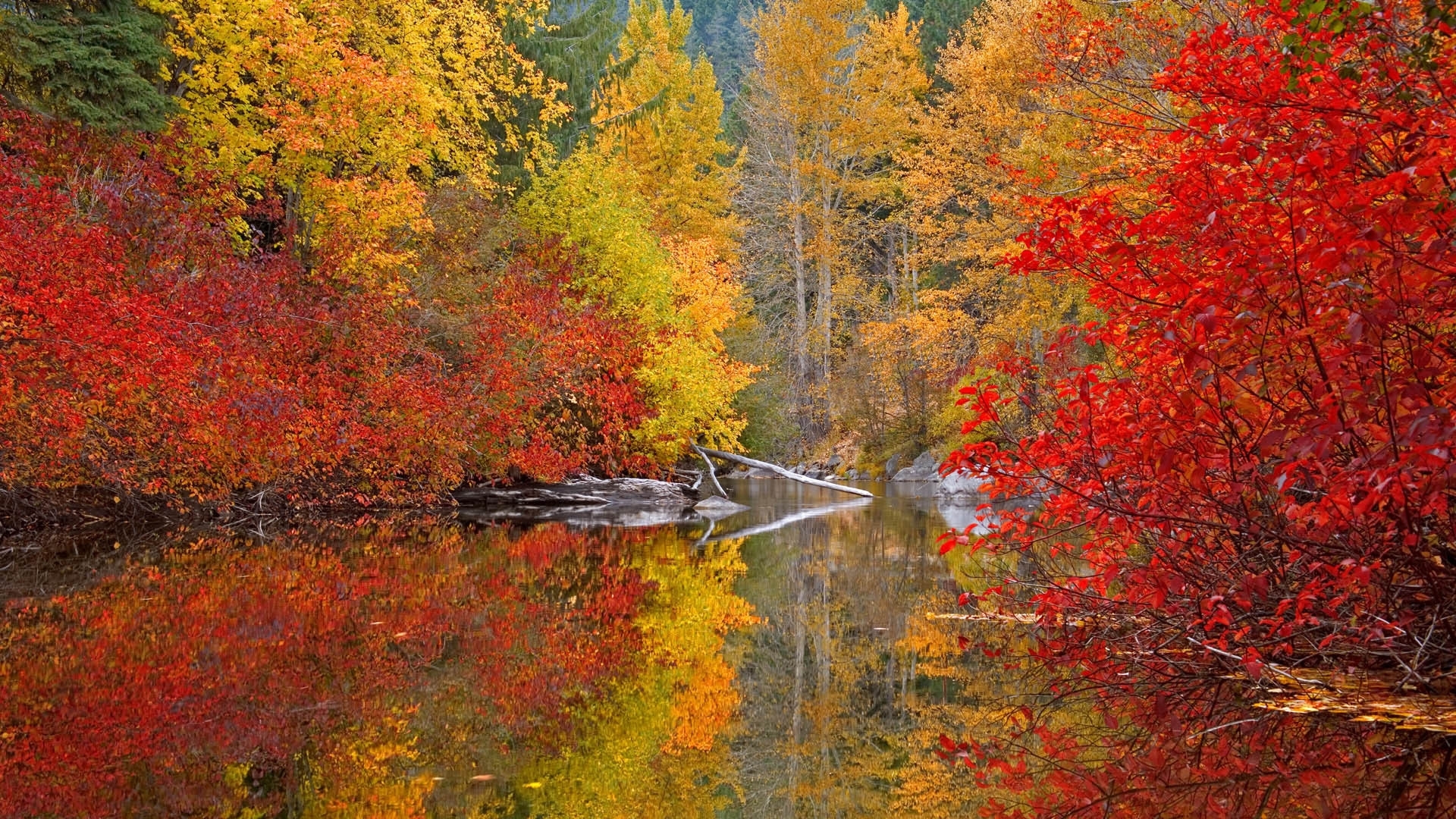 Free download wallpaper Autumn, Landscape, Nature on your PC desktop