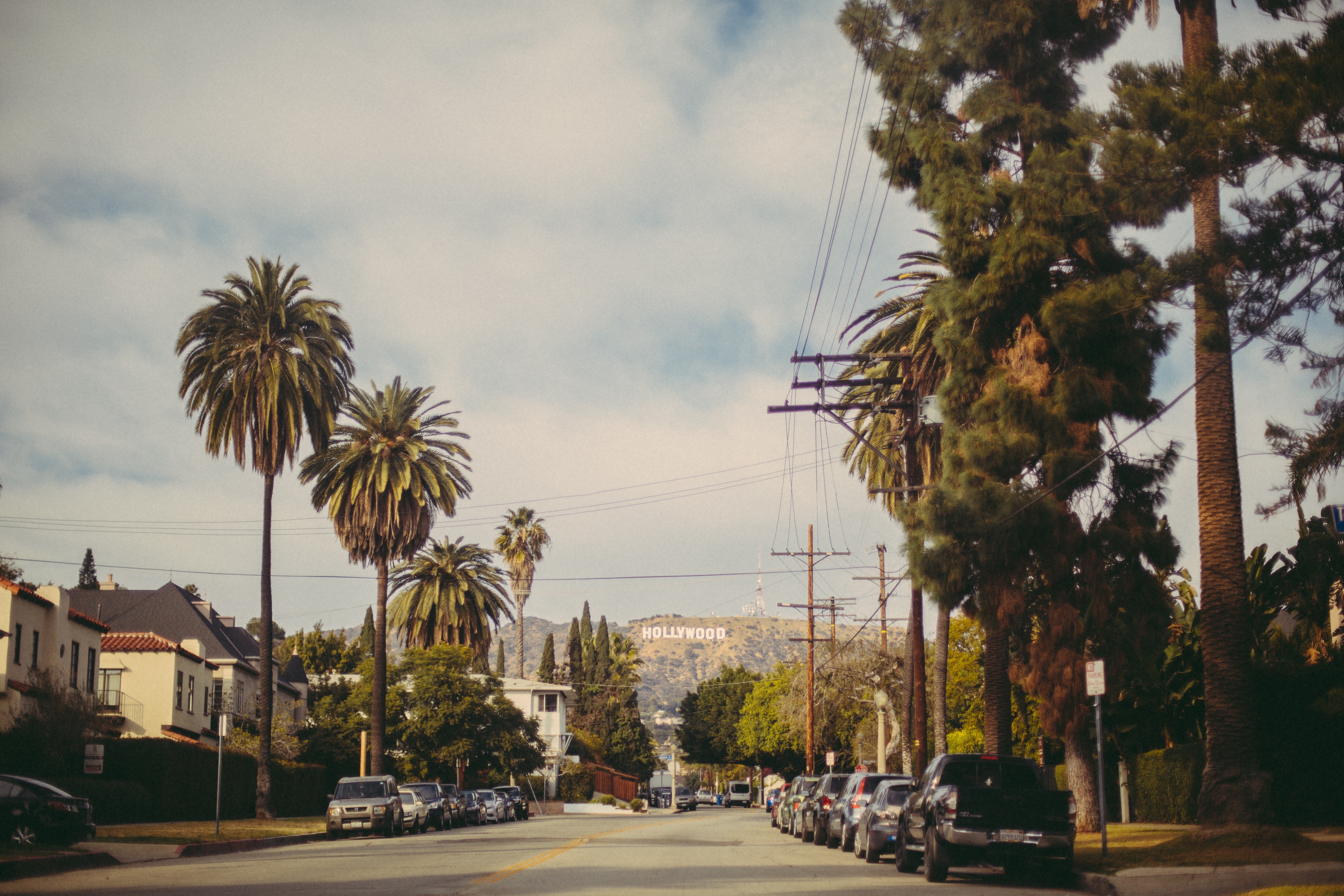 Download mobile wallpaper Road, Nature, Palms, Hollywood for free.