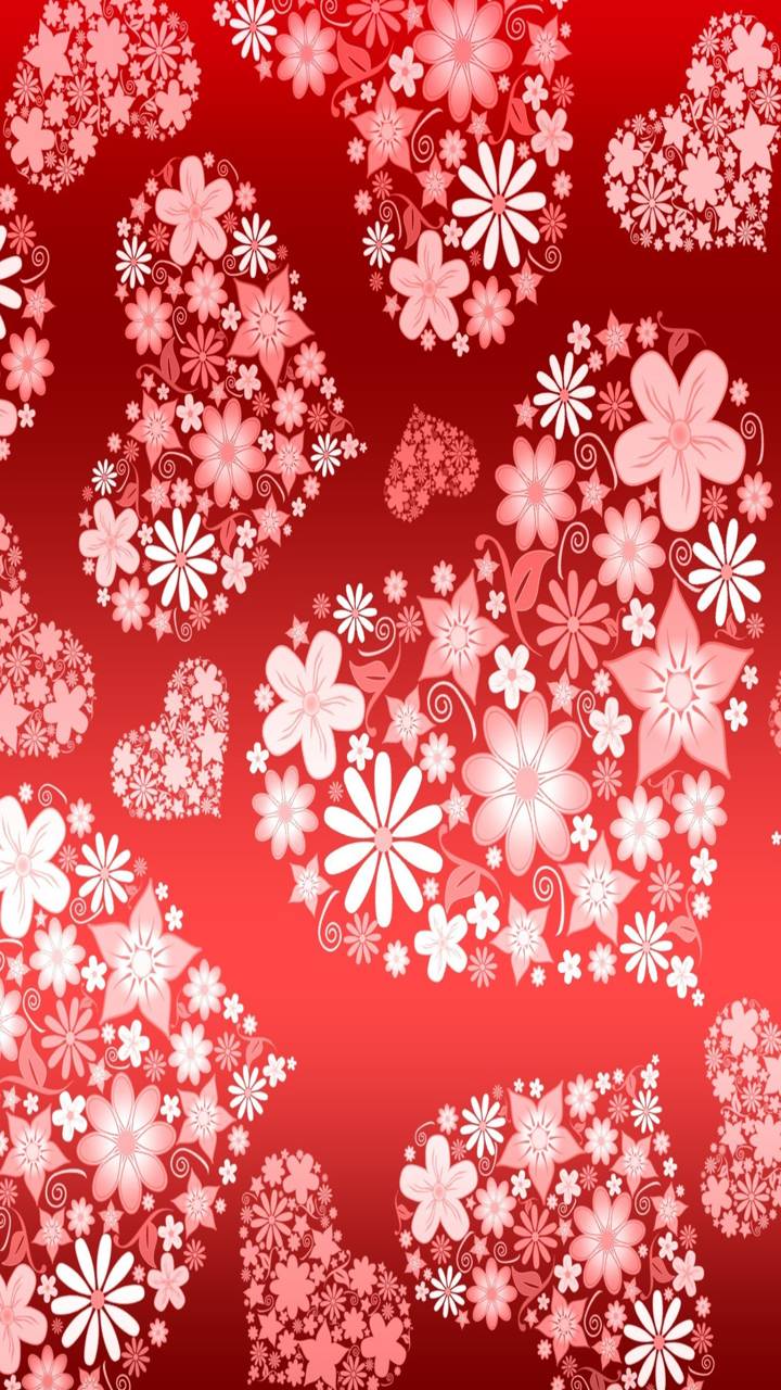 Download mobile wallpaper Valentine's Day, Flower, Holiday, Heart for free.