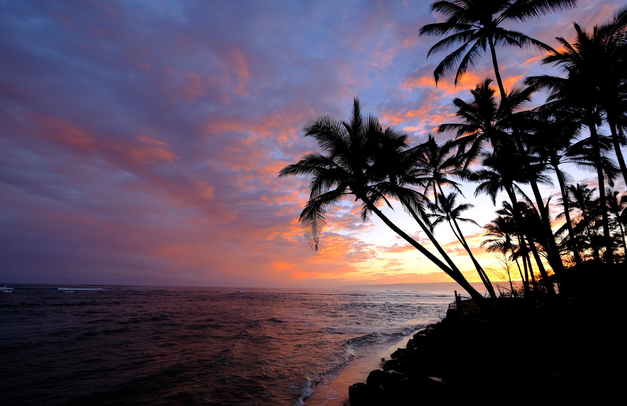 Free download wallpaper Nature, Horizon, Ocean, Earth, Palm Tree on your PC desktop