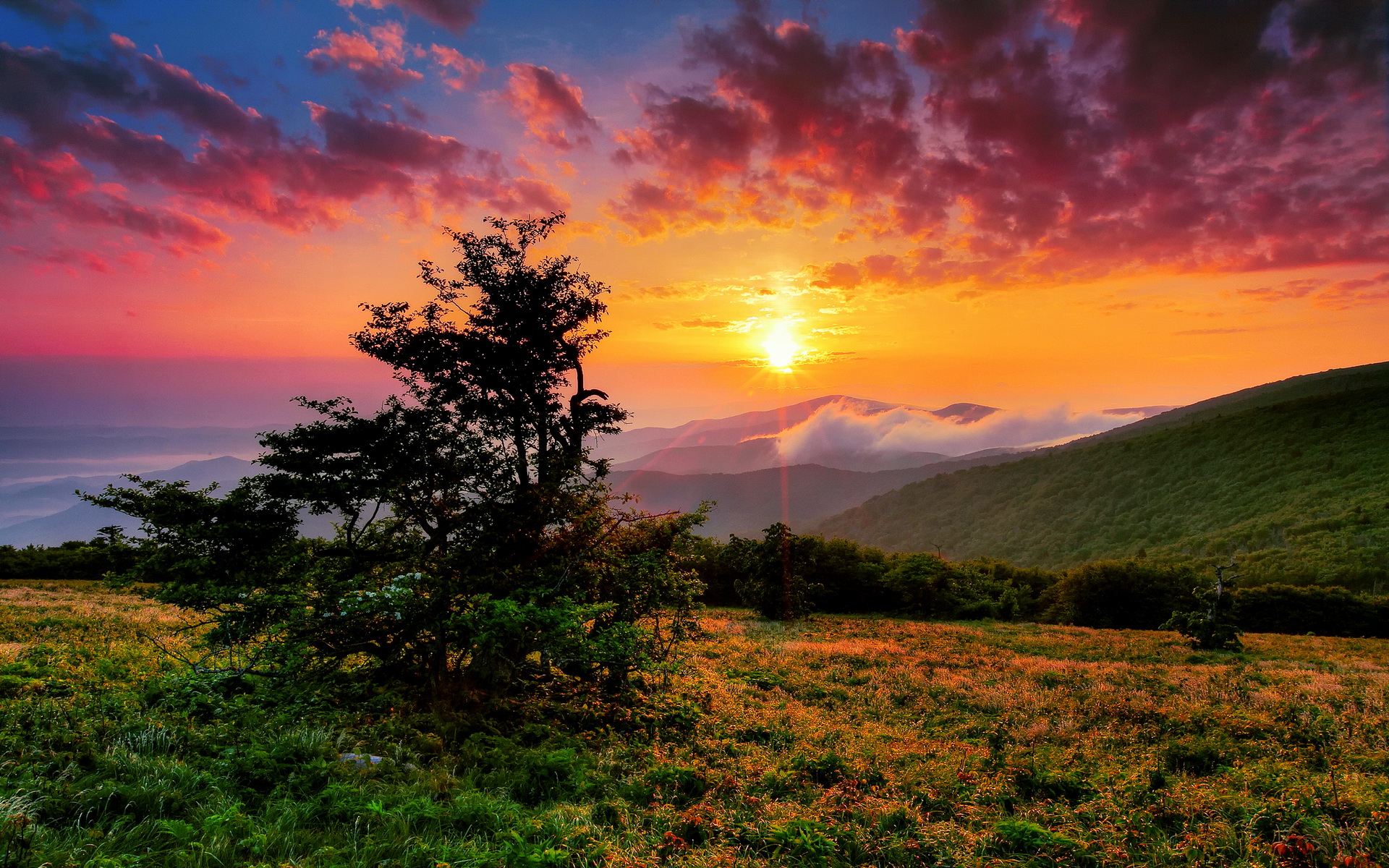 Скачать обои бесплатно Гора, Земля/природа, Закат Солнца картинка на рабочий стол ПК
