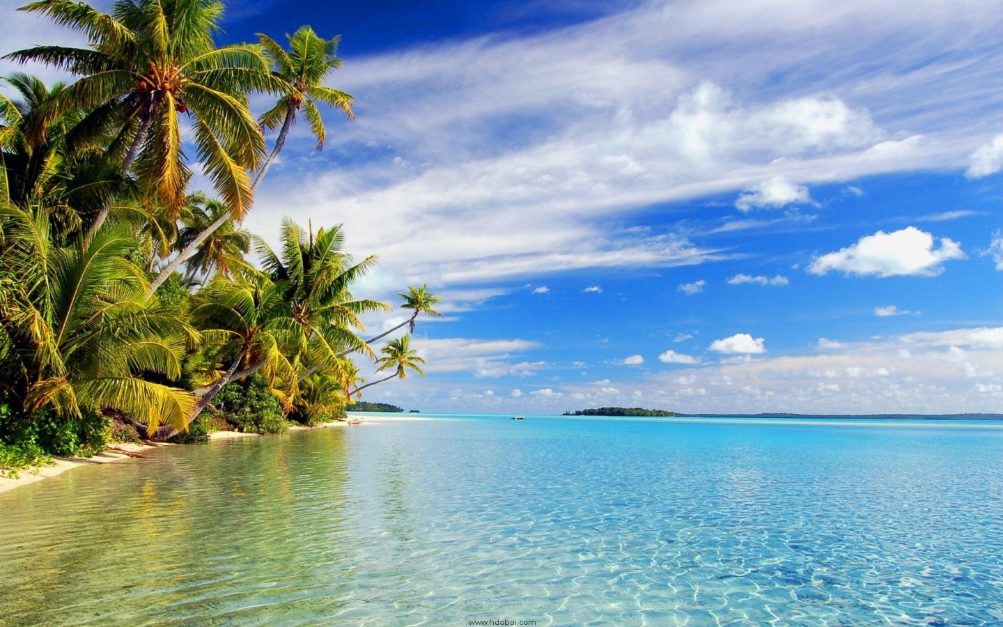 Free download wallpaper Sea, Landscape, Palms on your PC desktop
