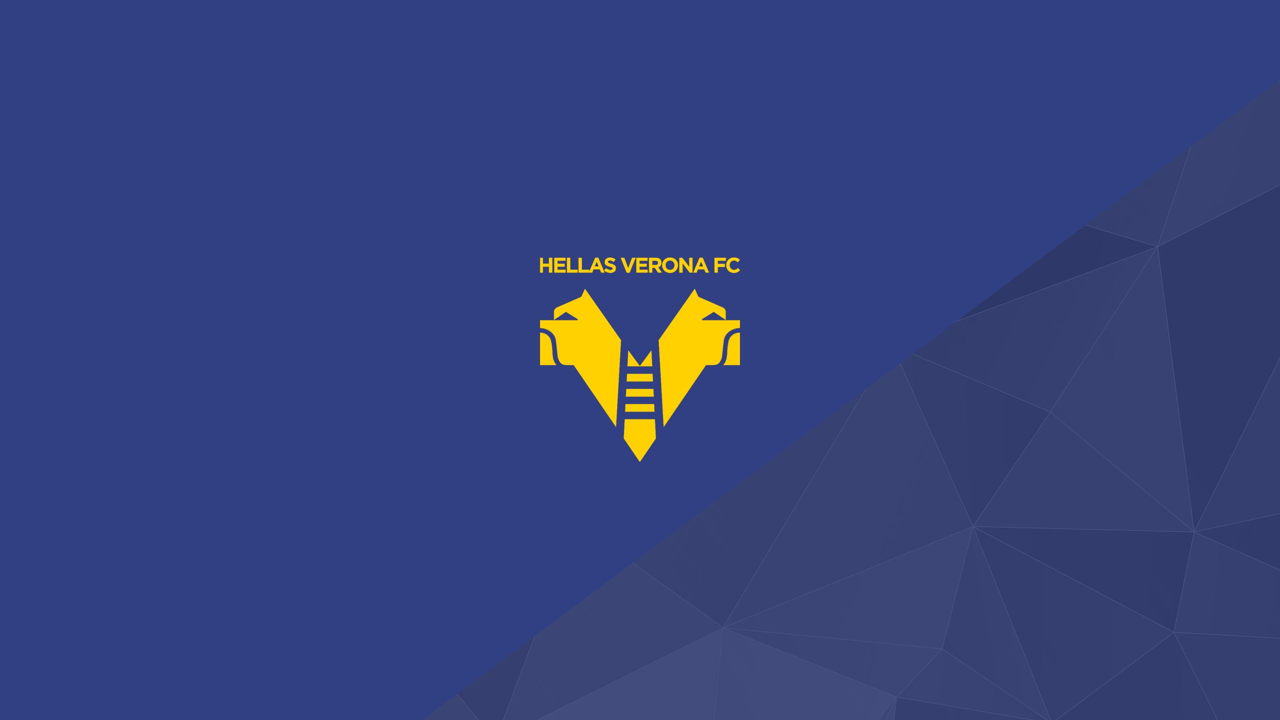 Los mejores fondos de pantalla de Hellas Verona Fc para la pantalla del teléfono