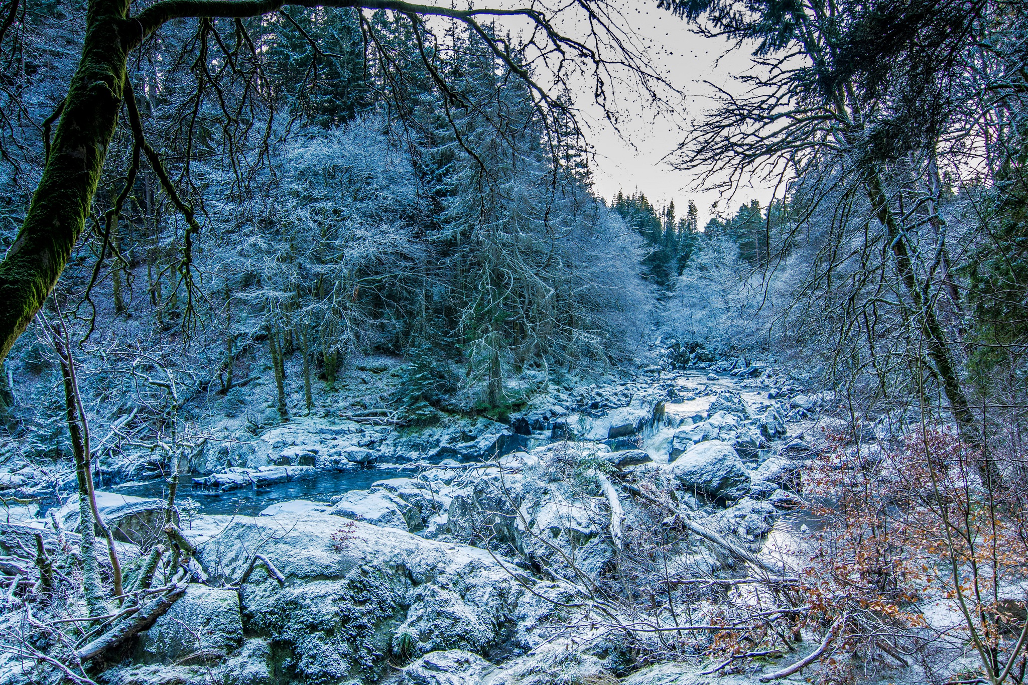 Скачать обои бесплатно Зима, Природа, Лес, Ручей, Земля/природа картинка на рабочий стол ПК