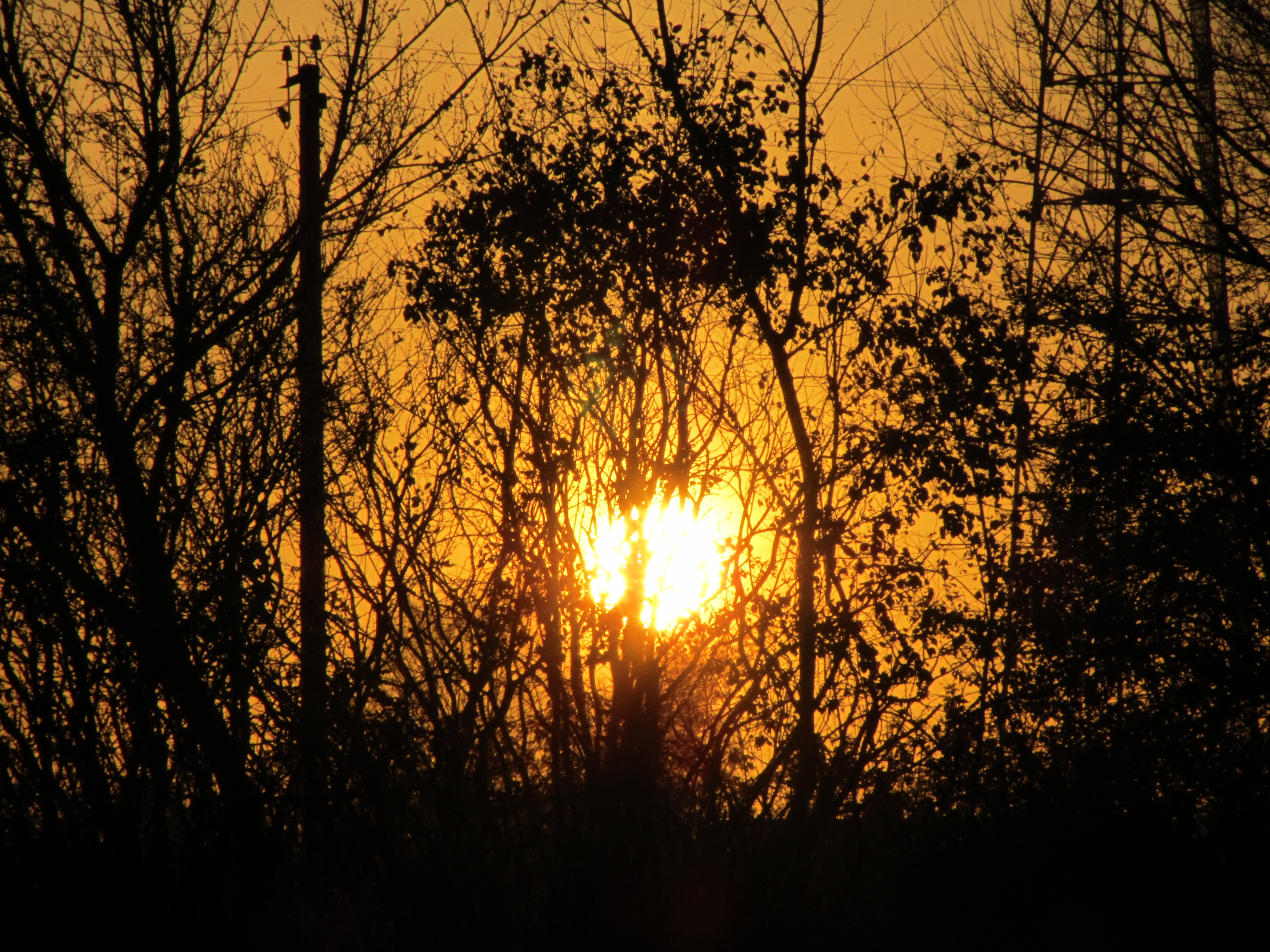 Baixar papel de parede para celular de Pôr Do Sol, Terra/natureza gratuito.