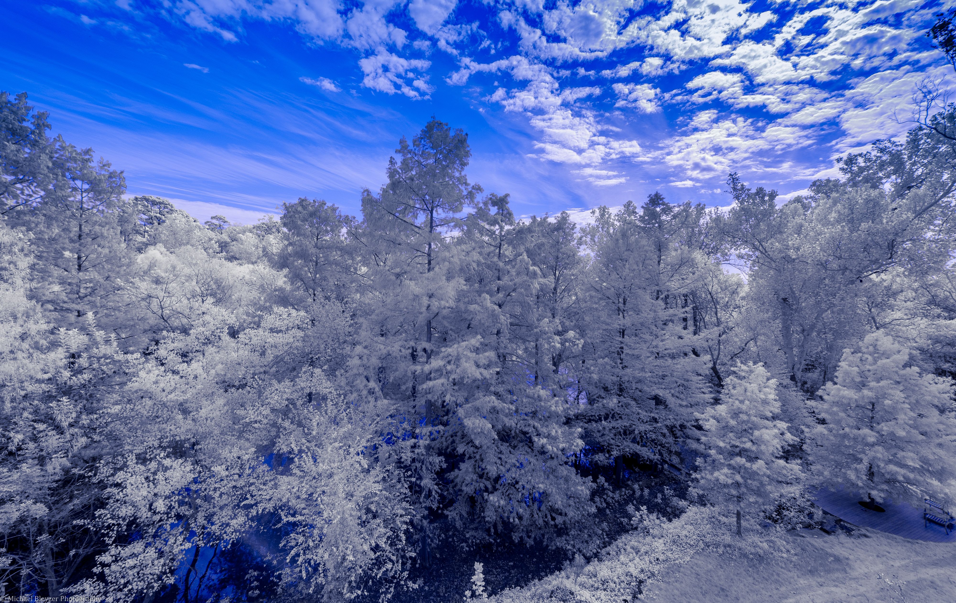 727188 descargar fondo de pantalla escarcha, tierra/naturaleza, invierno, nube, bosque, paisaje, cielo, nieve, árbol: protectores de pantalla e imágenes gratis