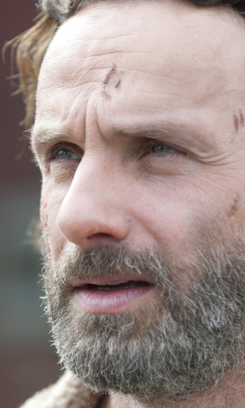 Handy-Wallpaper Fernsehserien, The Walking Dead, Rick Grimes, Andreas Lincoln kostenlos herunterladen.