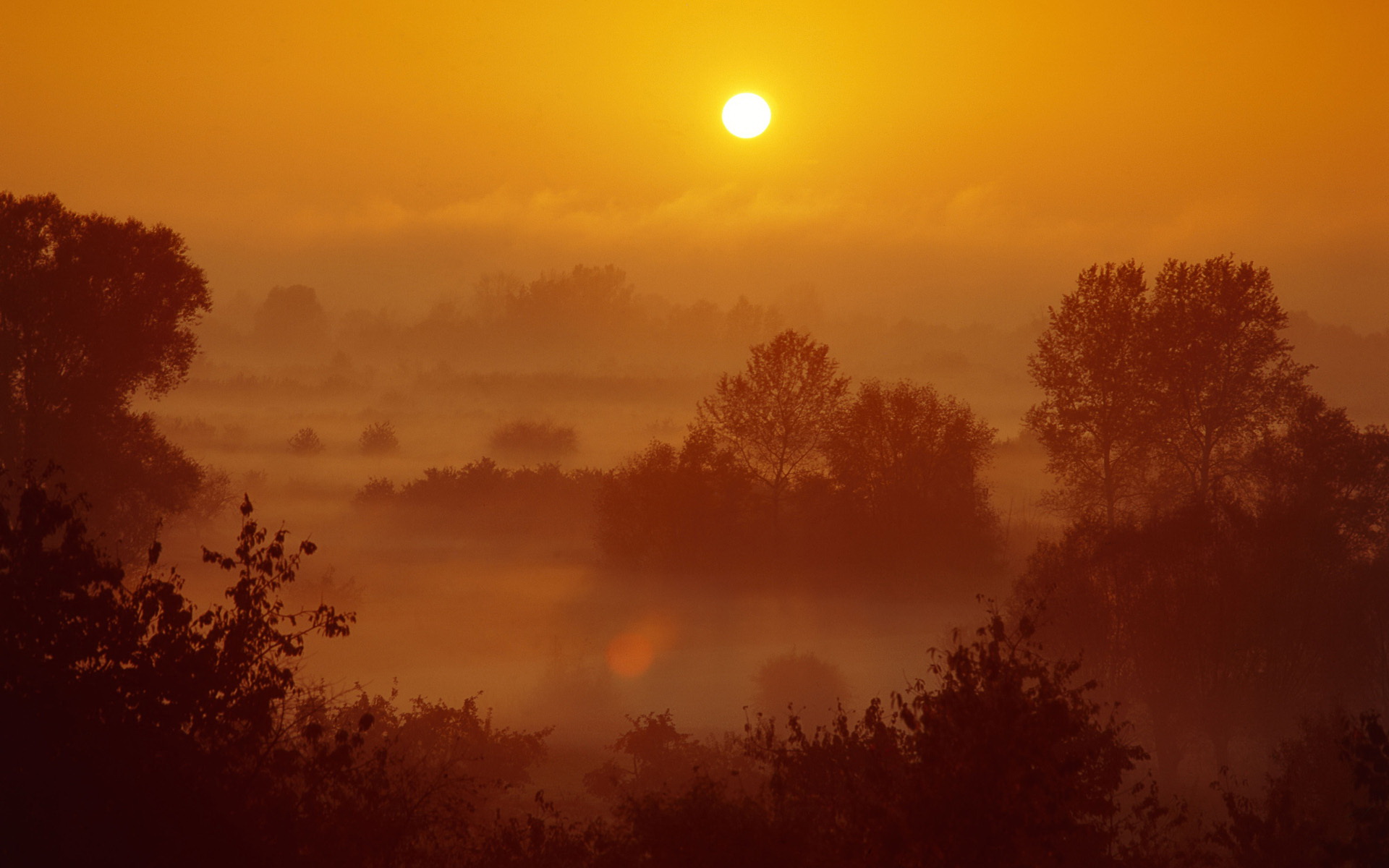 Téléchargez des papiers peints mobile Coucher De Soleil, Terre/nature gratuitement.