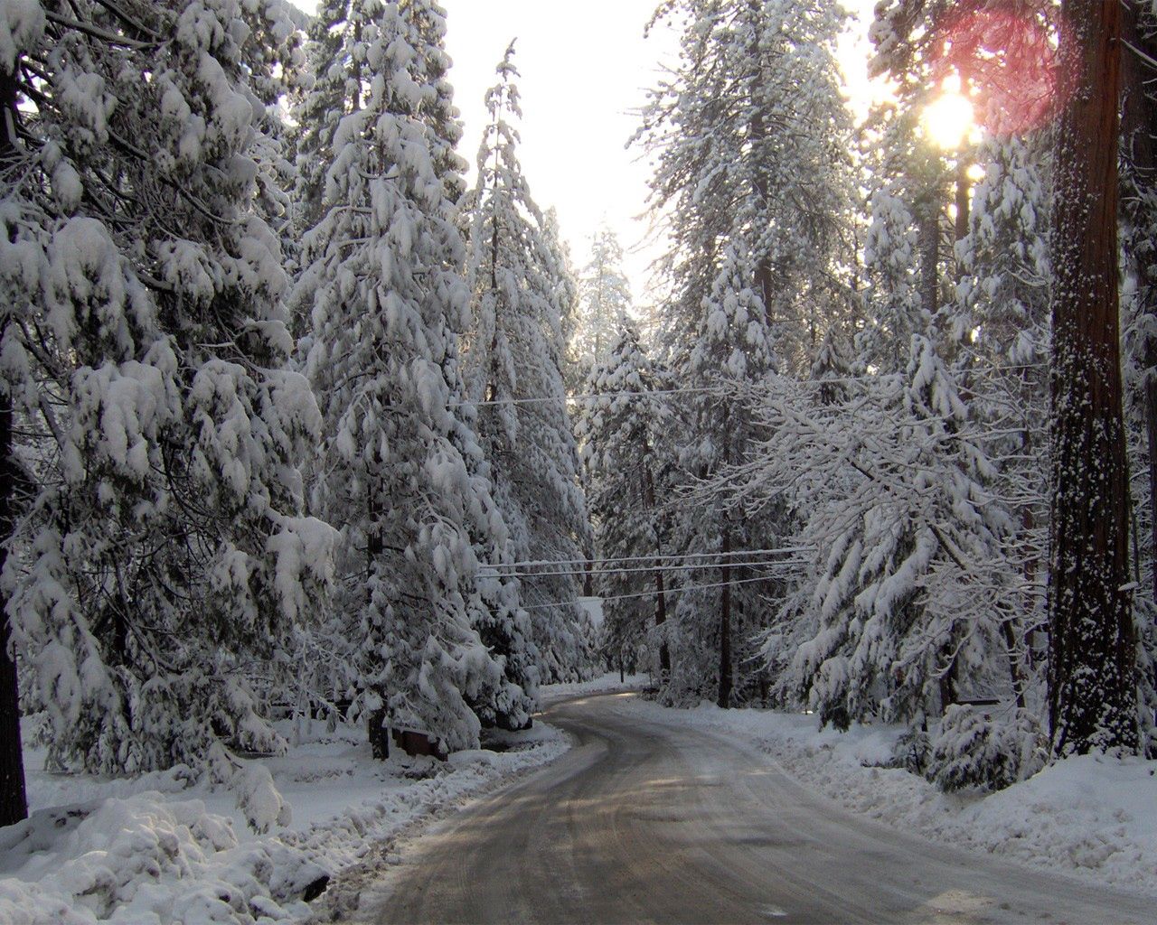 winter, nature, snow, road, ate HD wallpaper