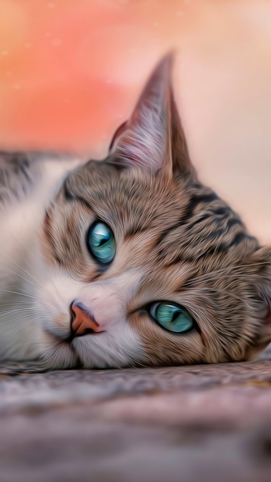 Download mobile wallpaper Cats, Cat, Animal for free.