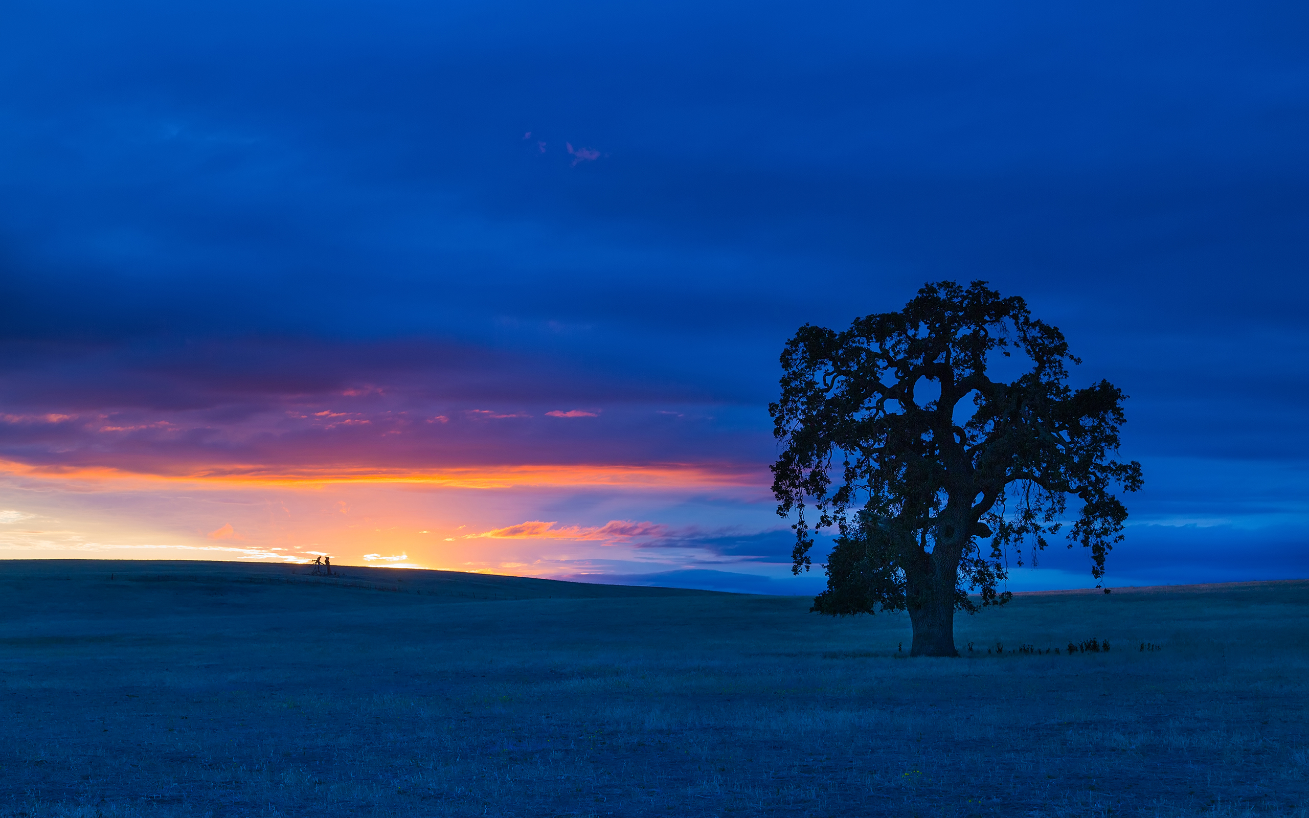 Download mobile wallpaper Sunset, Silhouette, Tree, Earth, Field, Lonely Tree for free.