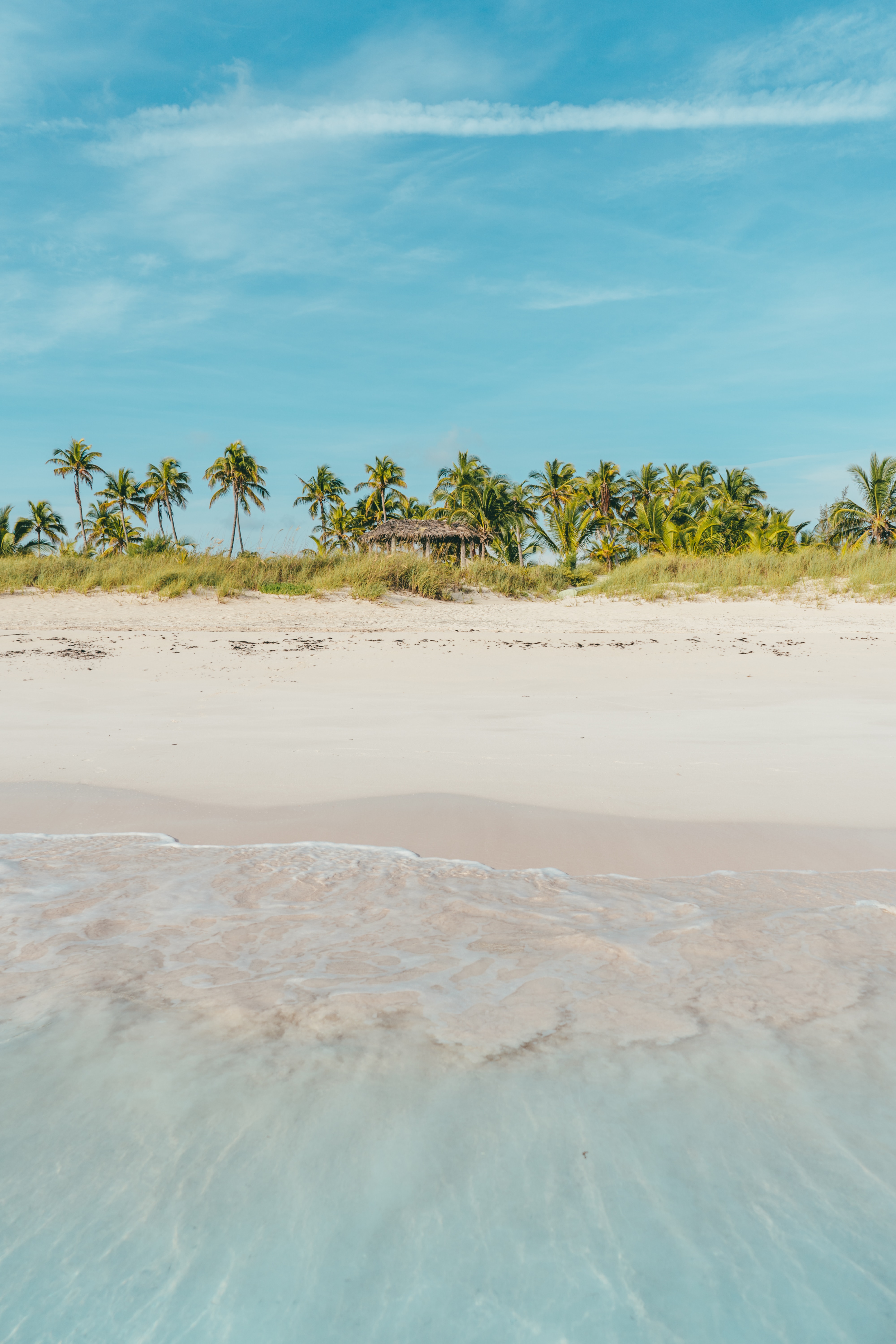 nature, bank, beach, palms, shore, ocean, tropics Desktop Wallpaper