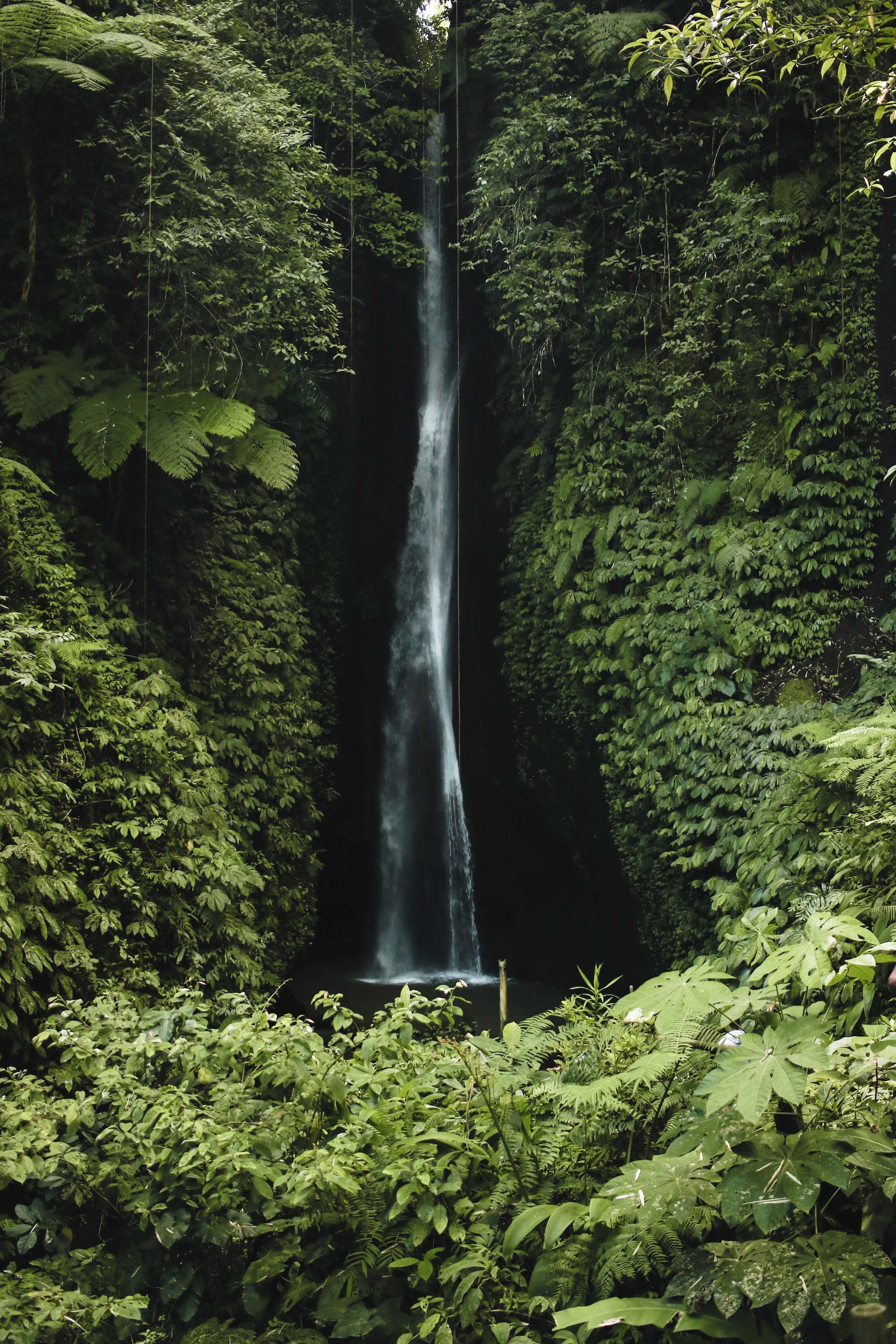 Free download wallpaper Waterfall, Break, Precipice, Vegetation, Greens, Nature on your PC desktop