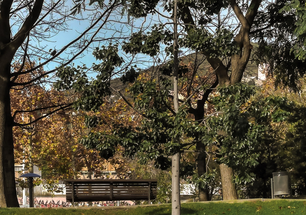 Laden Sie das Park, Fotografie-Bild kostenlos auf Ihren PC-Desktop herunter