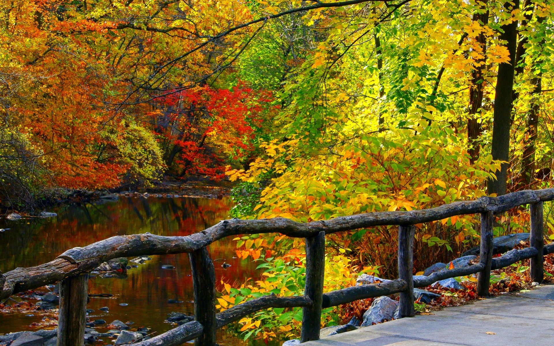 Download mobile wallpaper Nature, Forest, Fall, Earth, Fence for free.